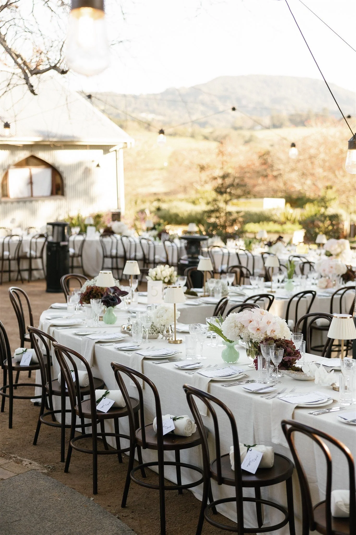 Tablecloths and Napkins