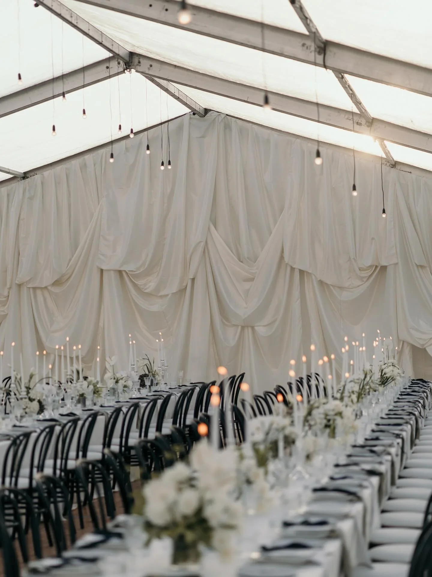 Draping+Hire+Sydney.webp