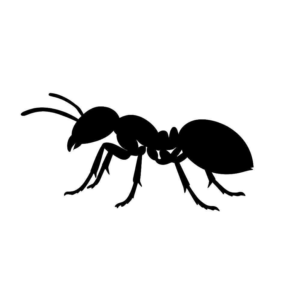 Silhouette of a bee with detailed wings and antennae, positioned against a dark background.