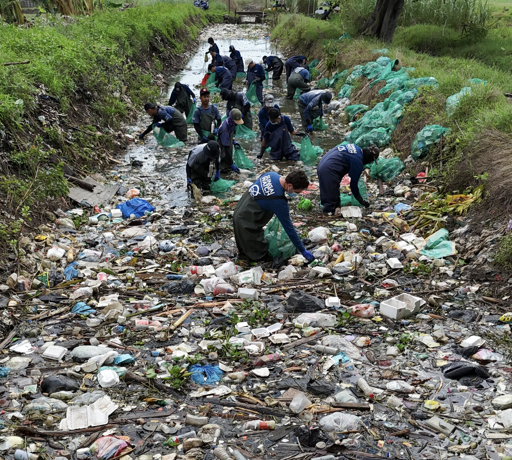 A large group of people, likely volunteers, are cleaning trash and debris from a polluted stream or river, collecting garbage in green bags and wearing gloves in an outdoor setting with trees and grassy banks.