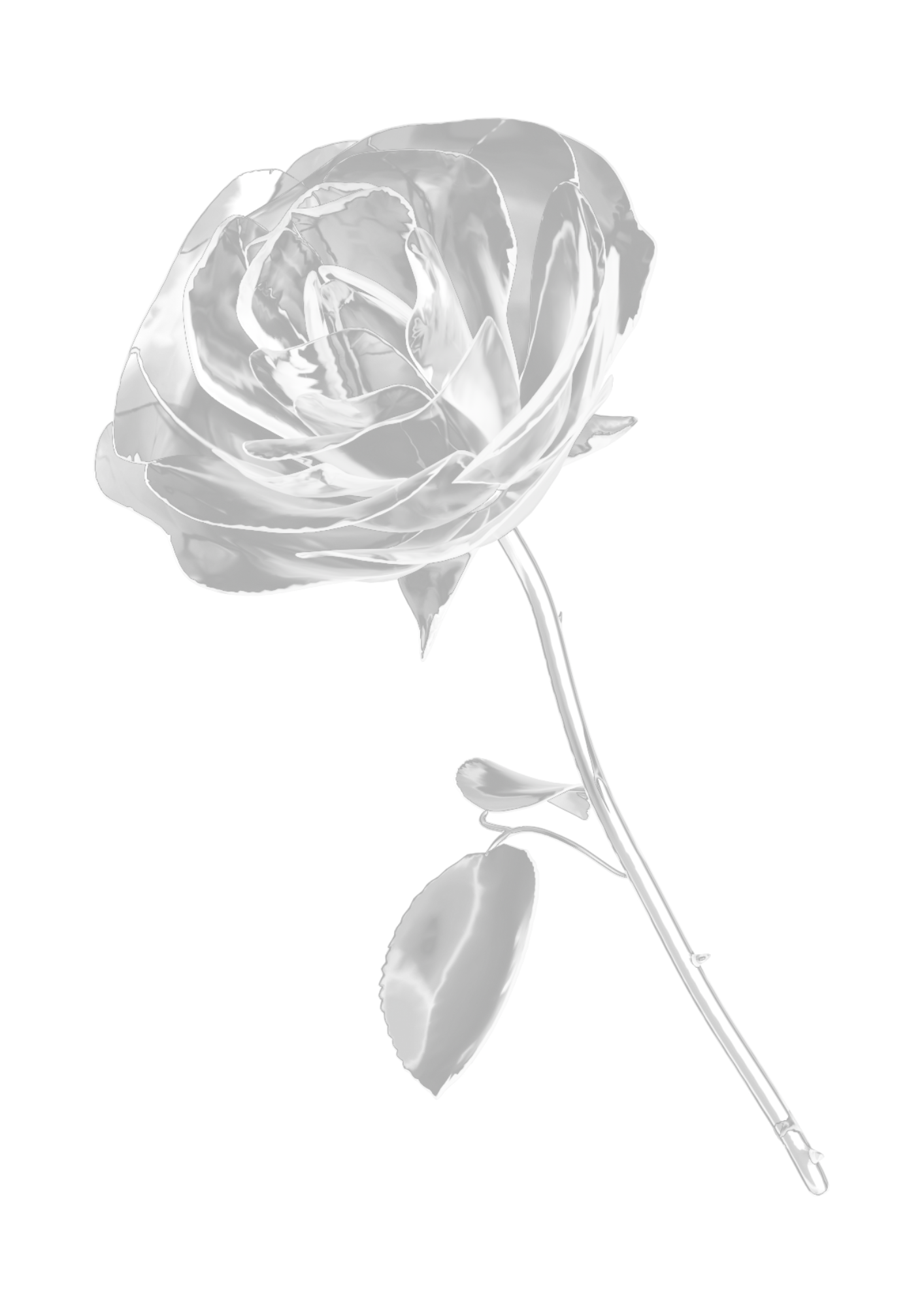 A black and white digital illustration of a rose with detailed petals and leaves, set against a black background.