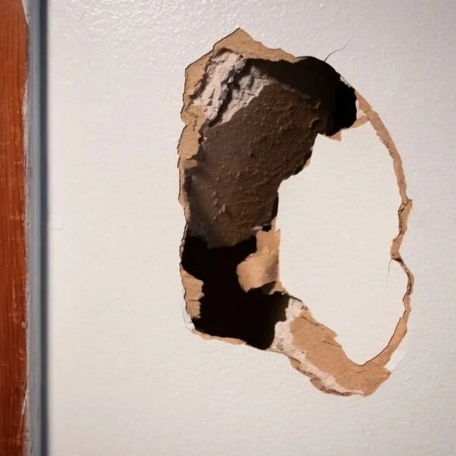 drywall repair florida