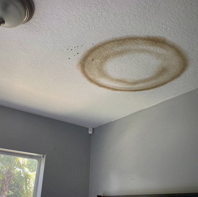 brown water stain on white ceiling drywall