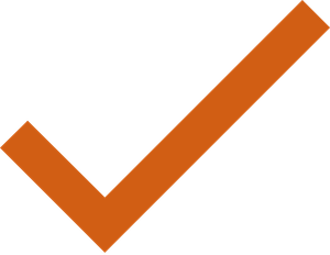 Orange Check