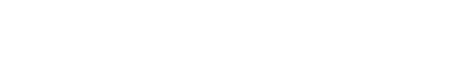 The Aperio* | Who-based Leadership