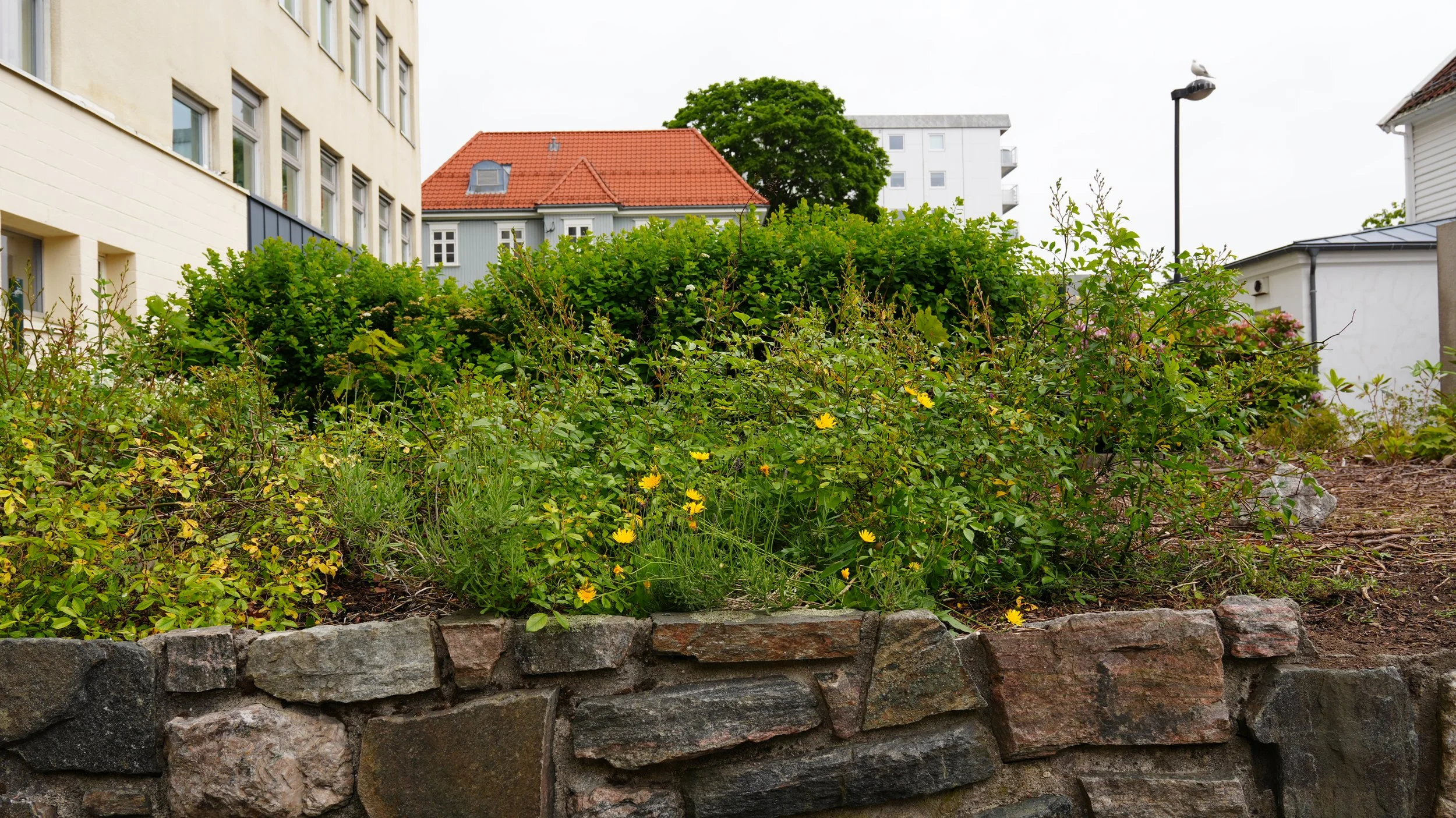 DSC09992.JPG