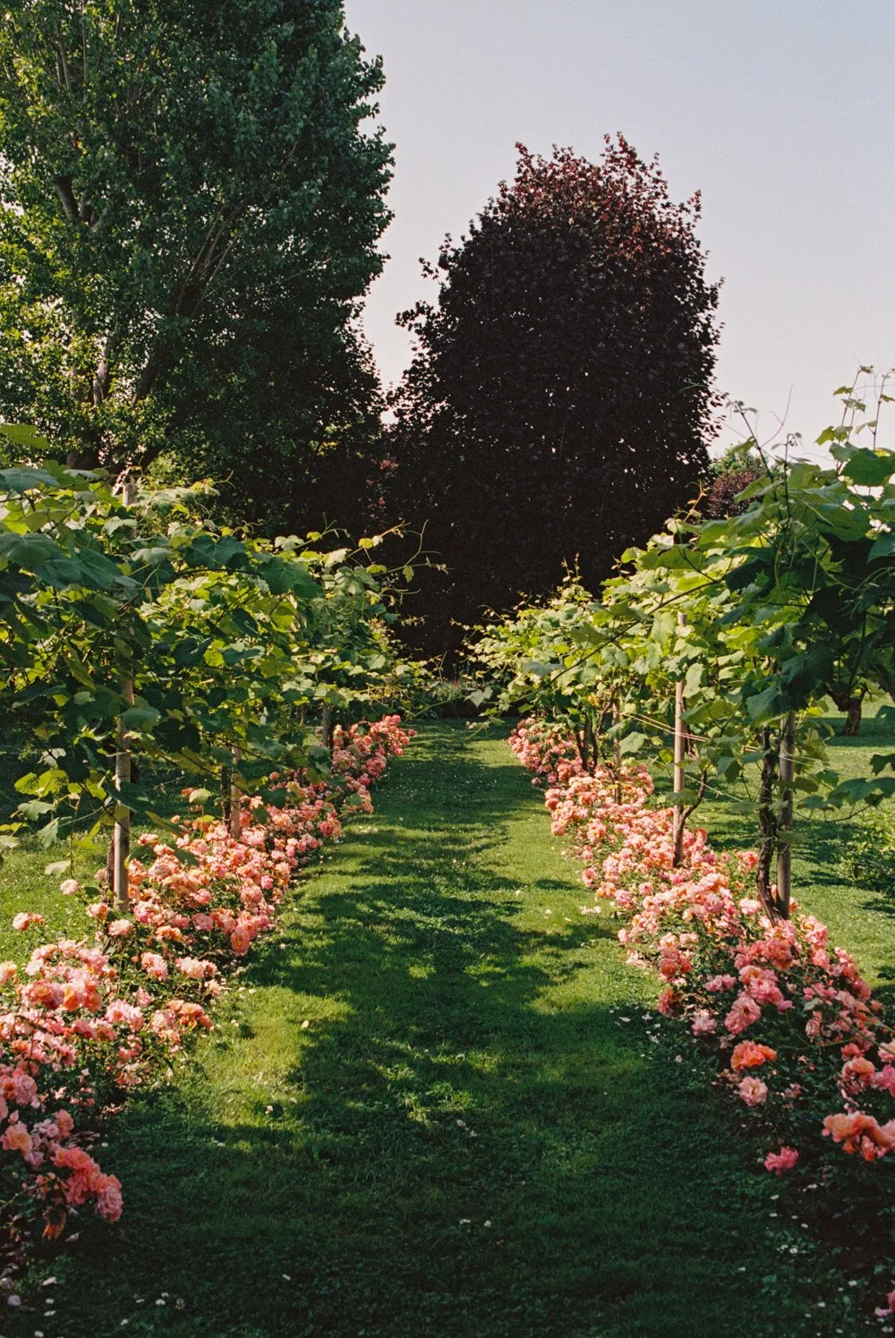 AnnaJay_VaniaCipriani_35mm_5459_35.jpg