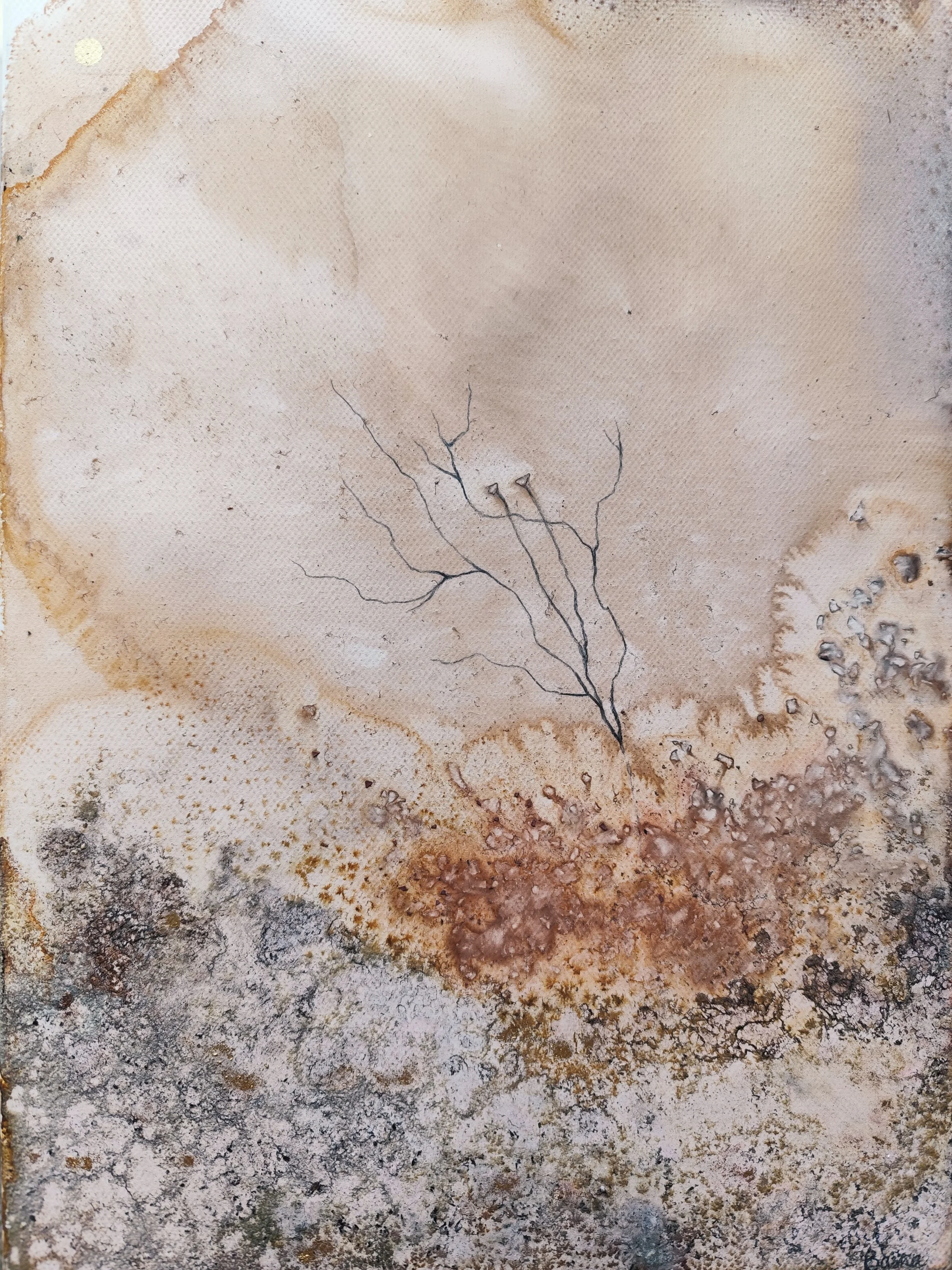 " Terre de promesses : de sel et d'or "