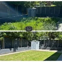 jennys garden.jpg