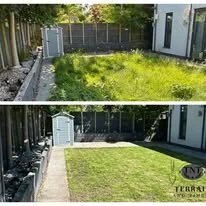 jennys garden 4.jpg