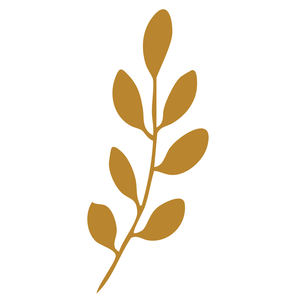 A stylized illustration of a brown leaf branch with multiple oval leaves on a black background.