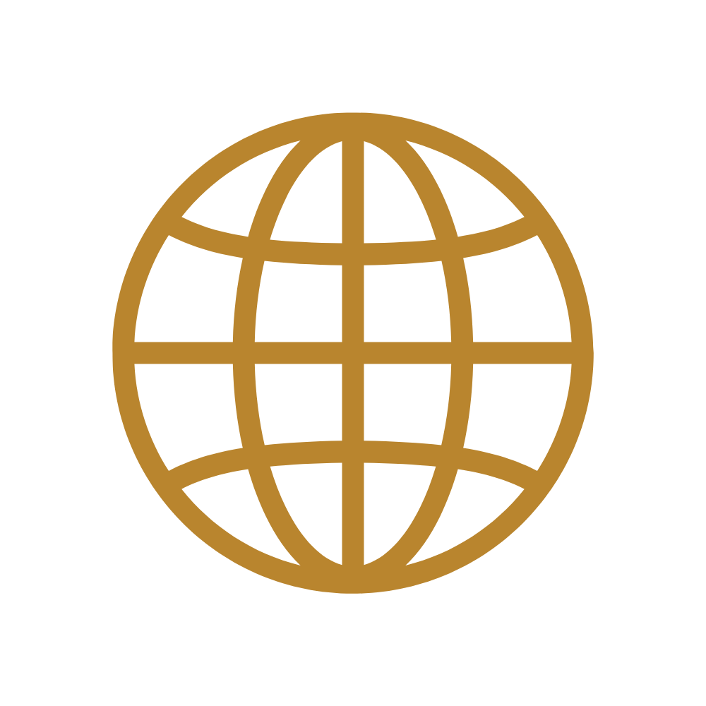 Gold globe icon on a black background.