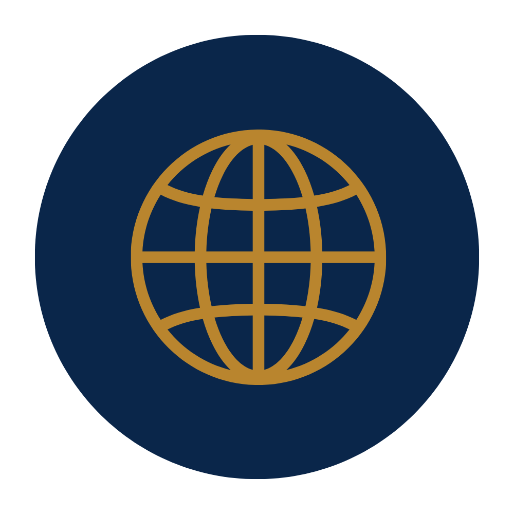 Icon of a globe with a blue background and gold grid lines, representing the internet or global network.