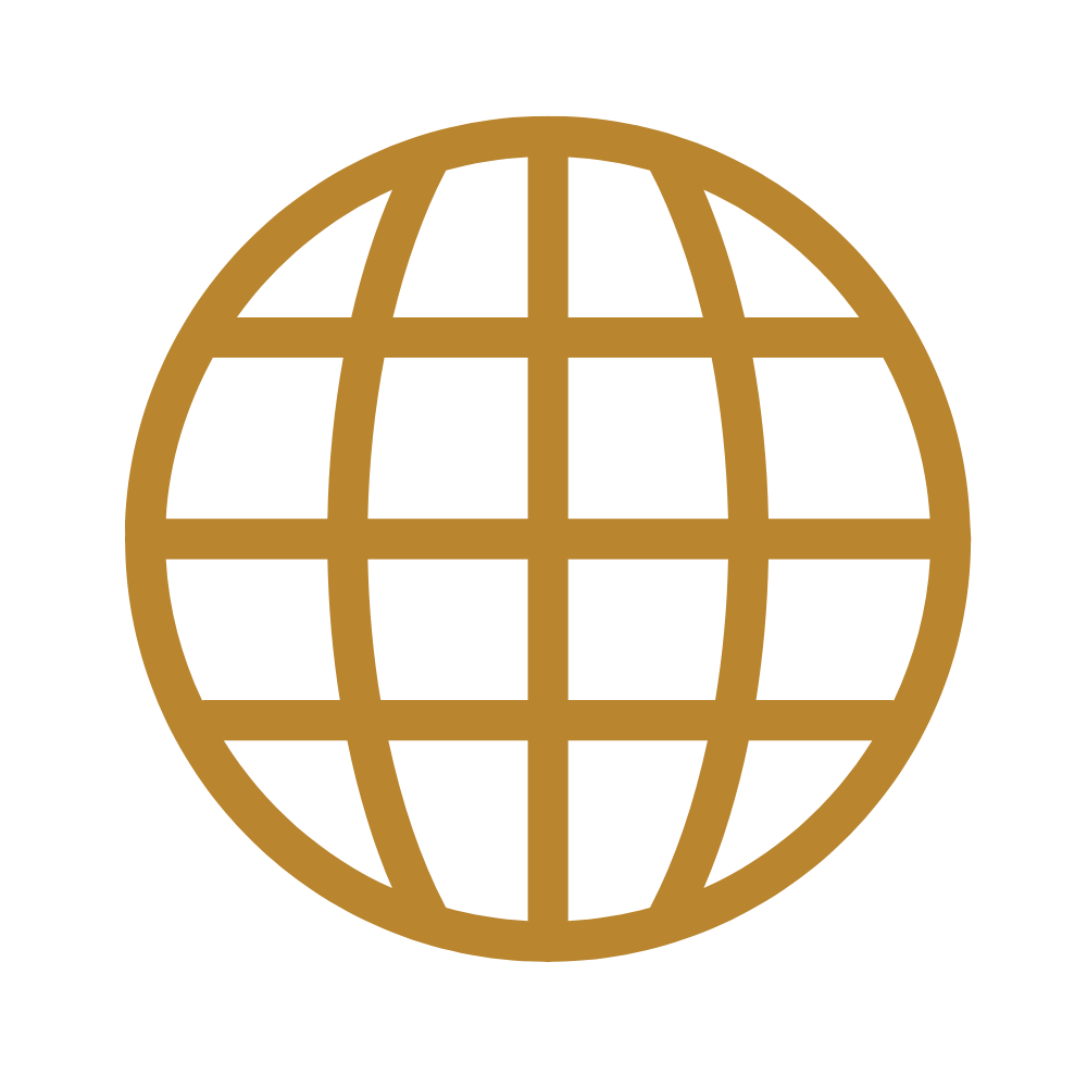 A gold globe icon with grid lines on a black background.