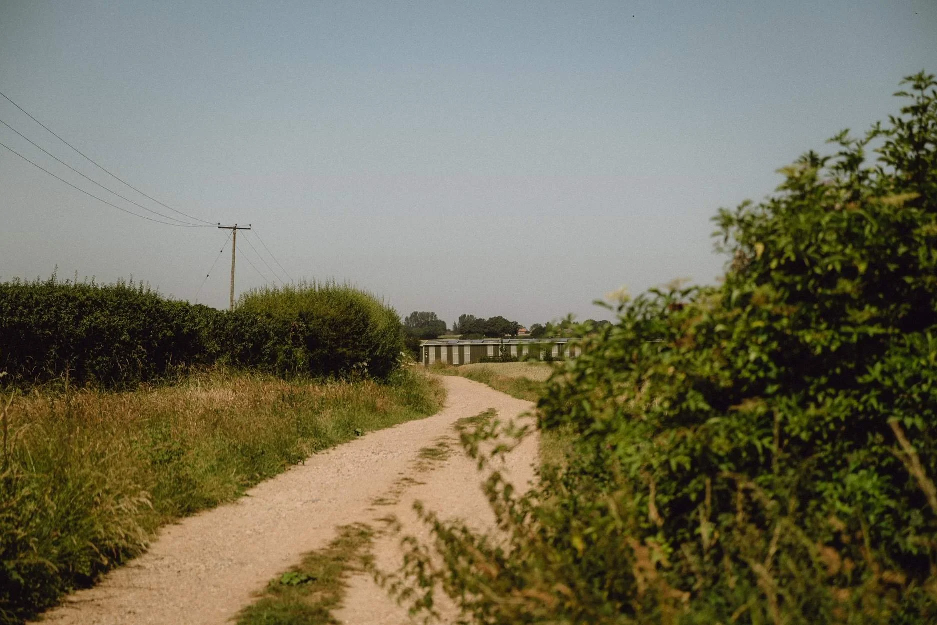 Driveway on the farm that leads to our factory, where we research and develop bespoke architectural paint and finishes.