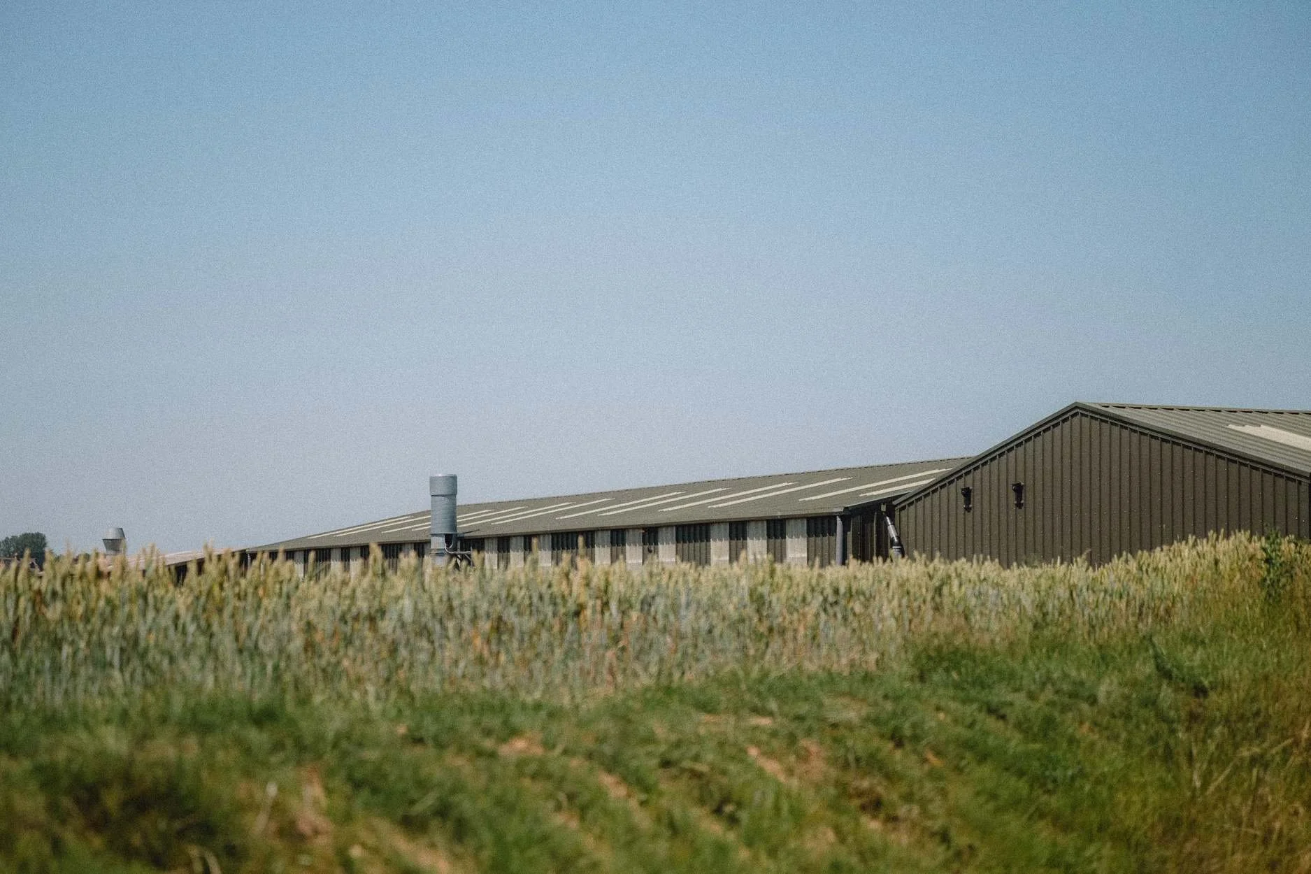 Our factory located on a farm, surrounded by crops and nature. This is where we do bespoke paint manufacturing.