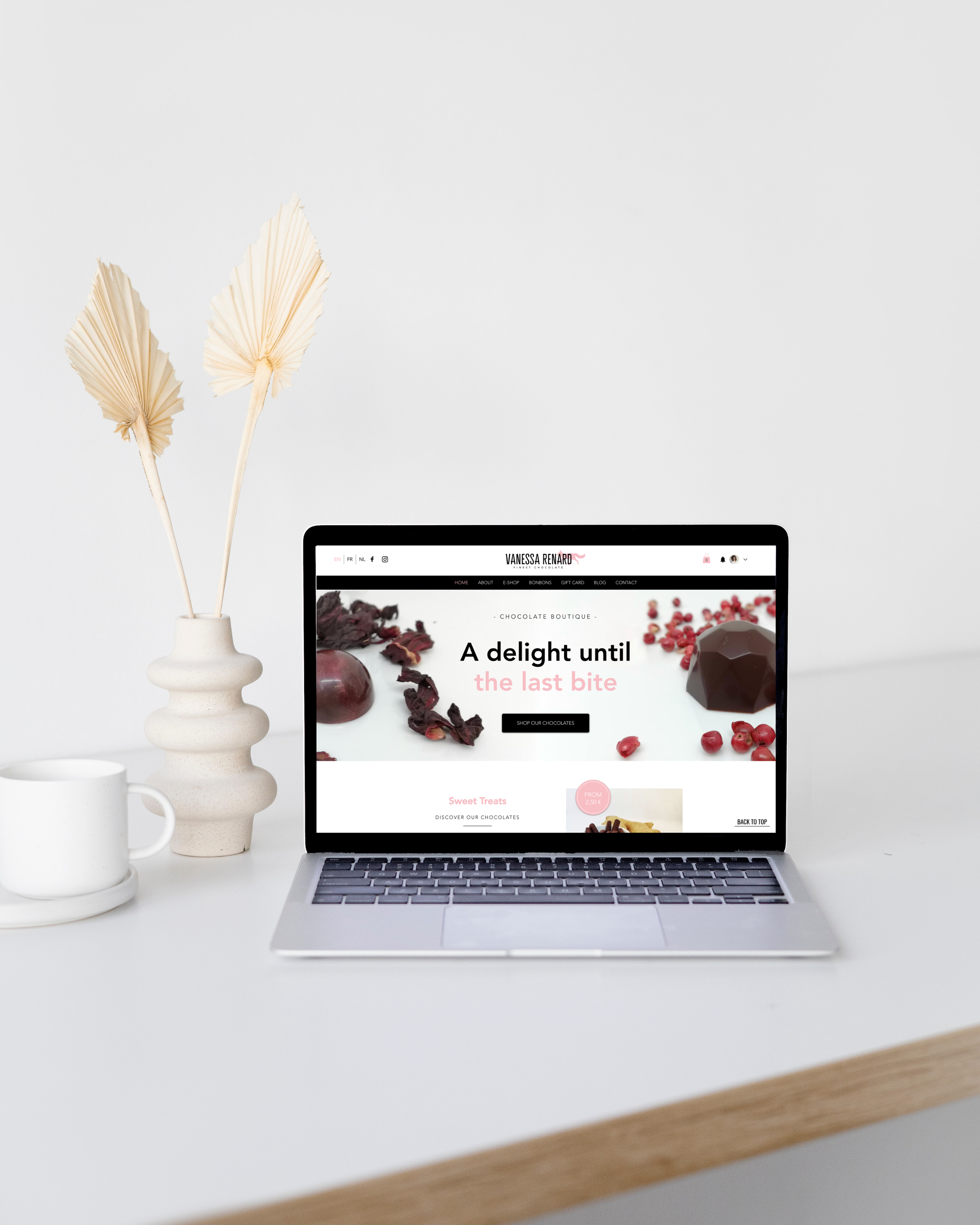 Website Vanessa Renard
