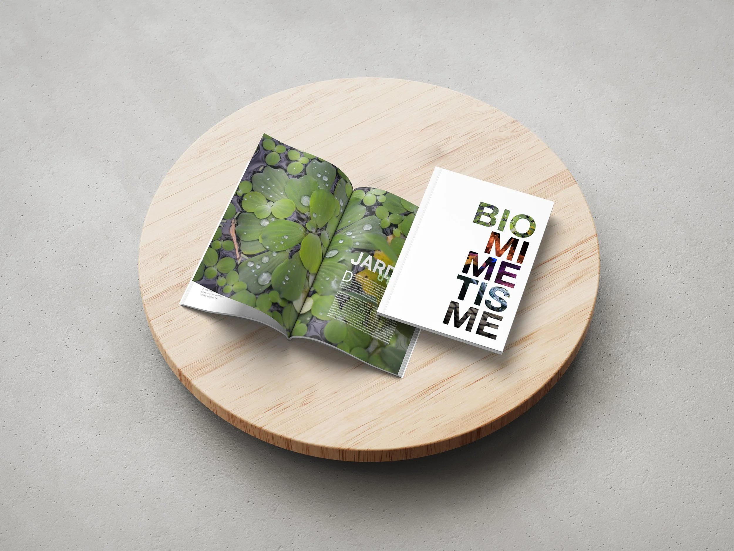Magazine Biomimetics