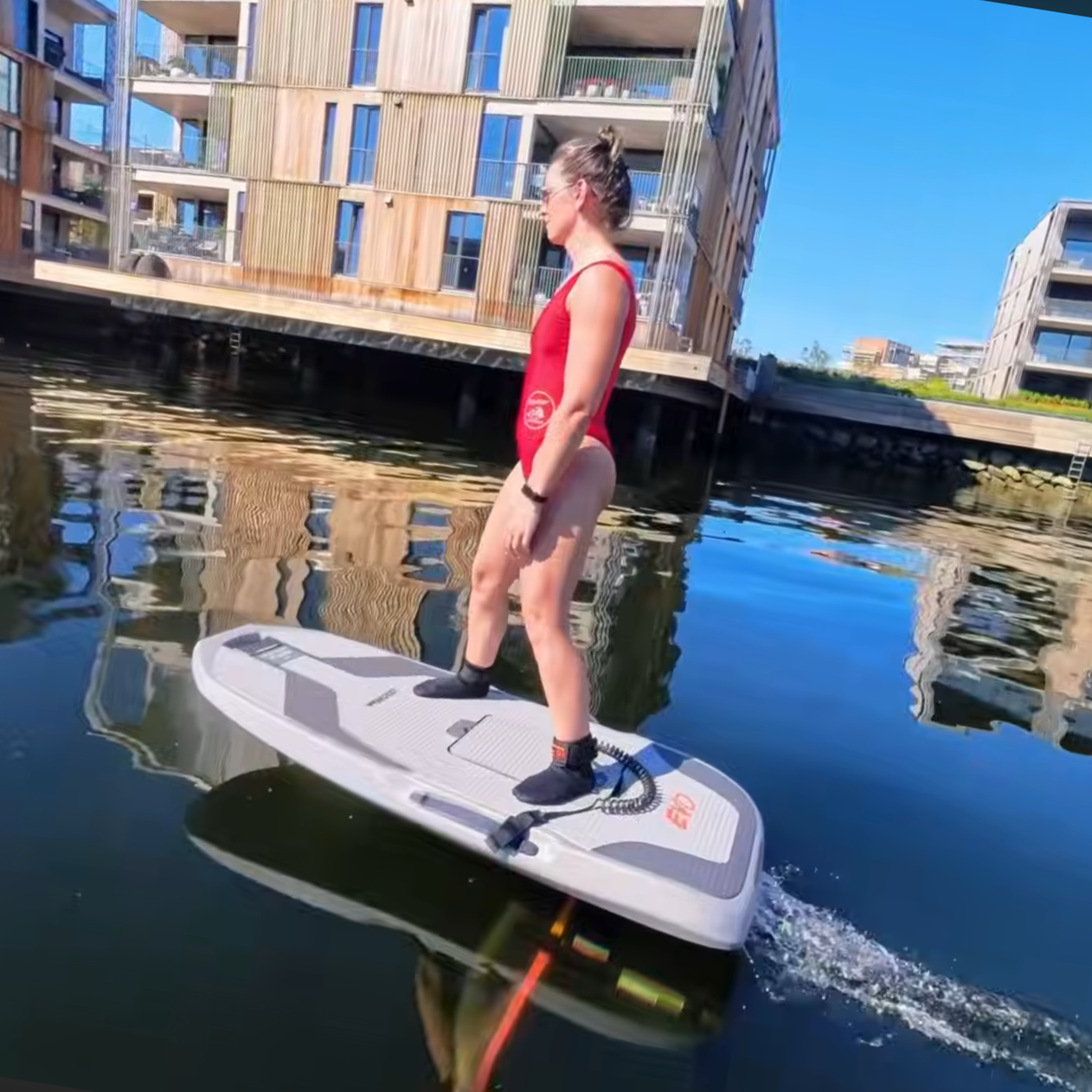 Waydoo Evo Max Plus Review