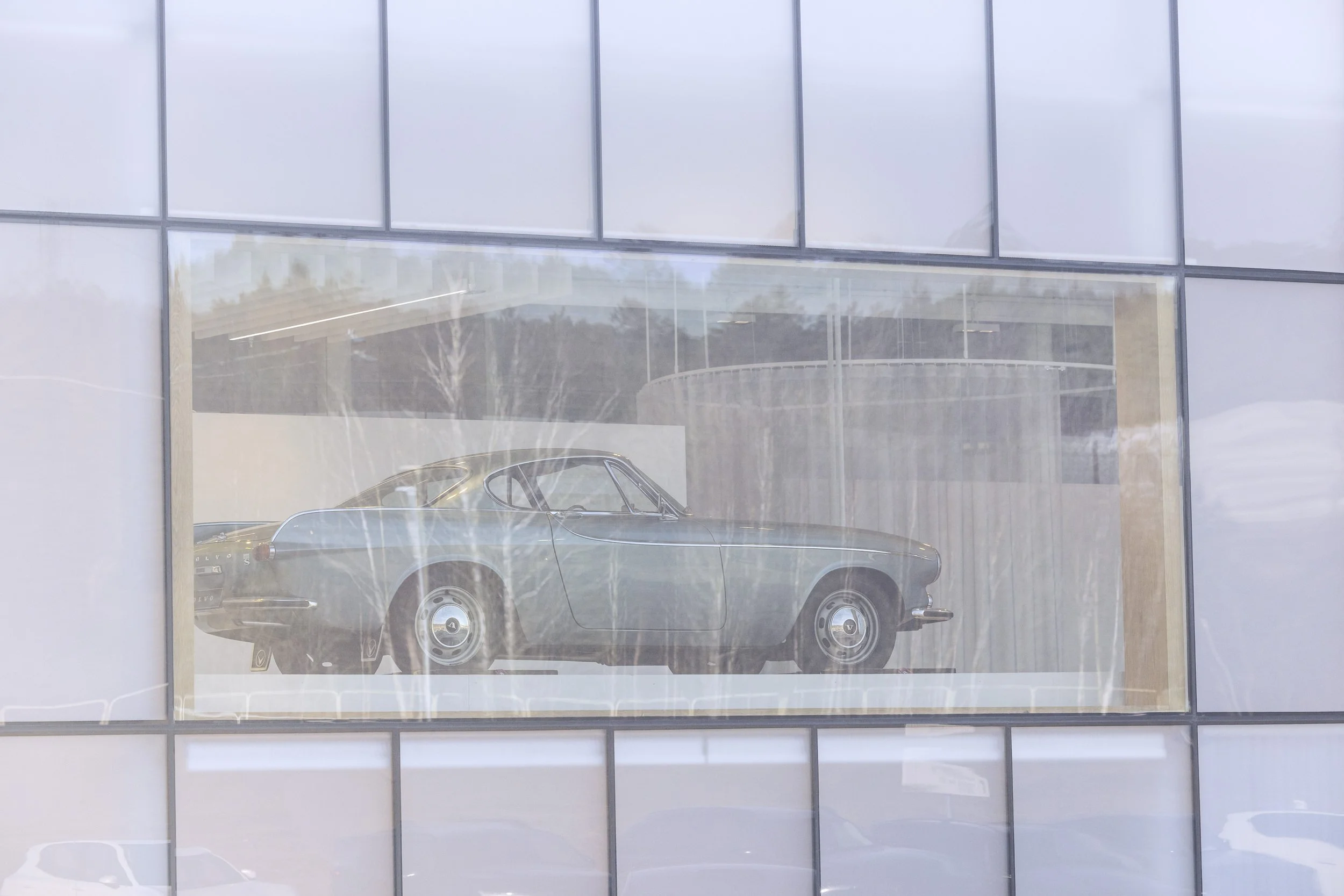 Senab_MG_0445-1.jpg