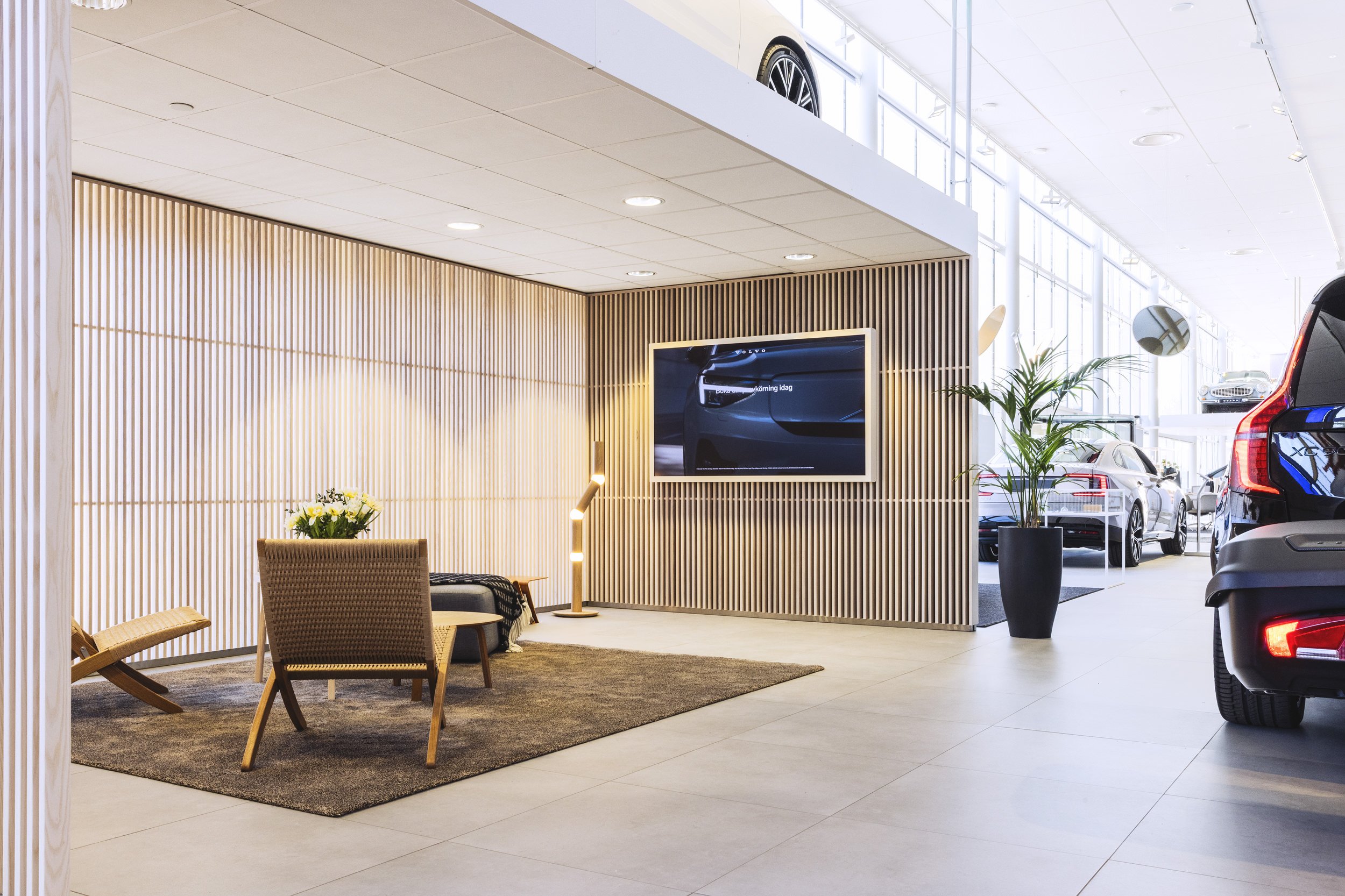 Senab_MG_0152-1.jpg