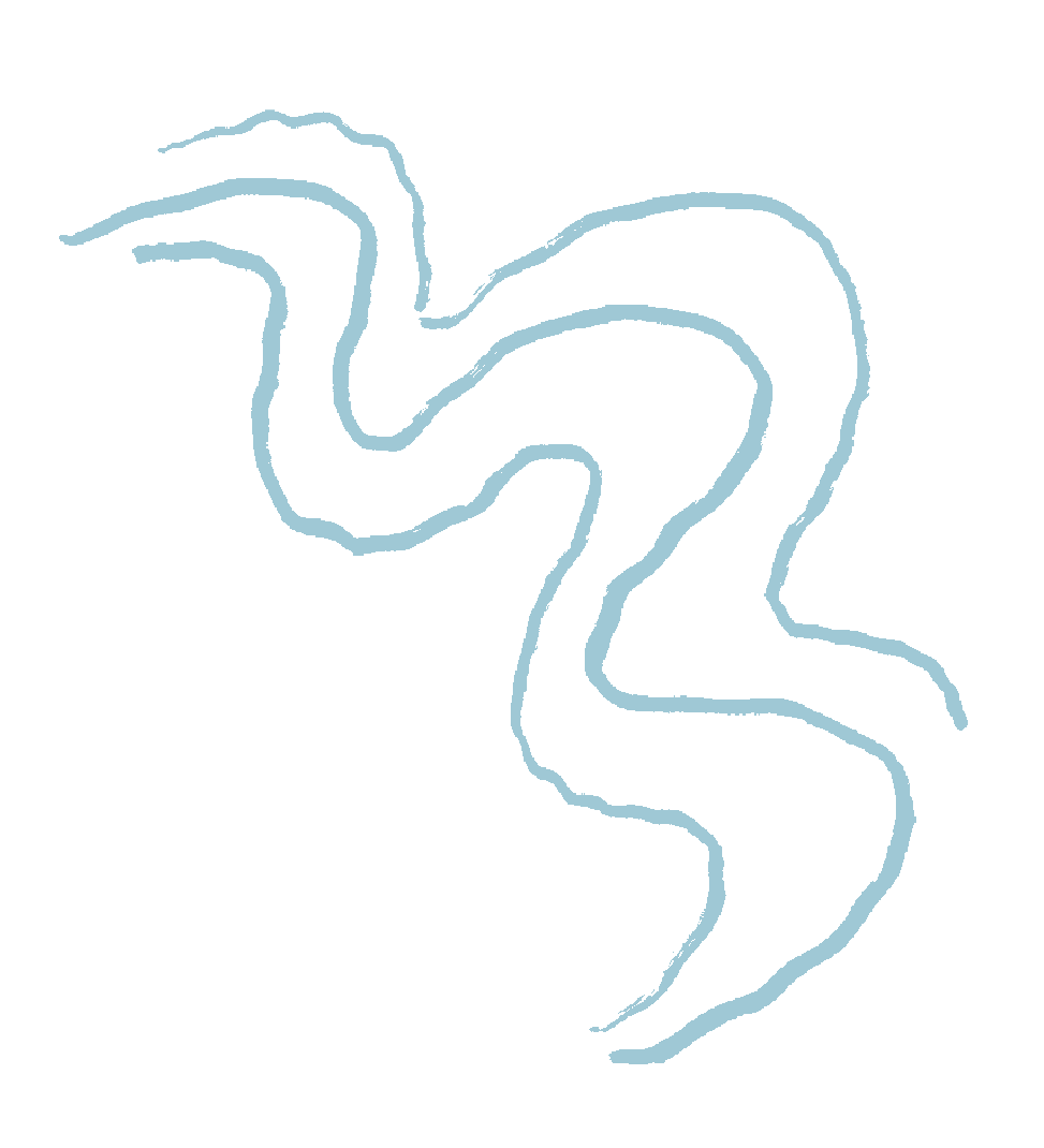 Drawing of a snake in light blue on a white background.