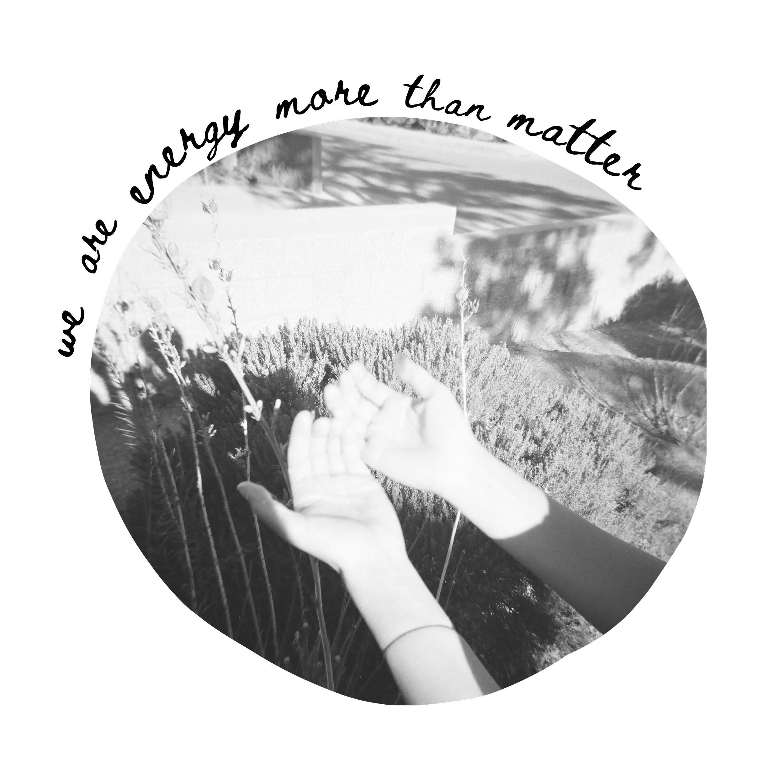 Black and white photo of a hand holding a round object, possibly a mirror, reflecting a landscape with plants, trees, and a cloudy sky.