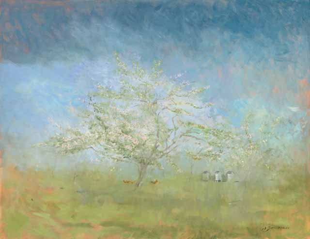 Apple Tree in Full Blossom