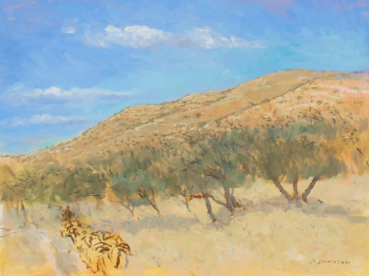 Olive Trees
