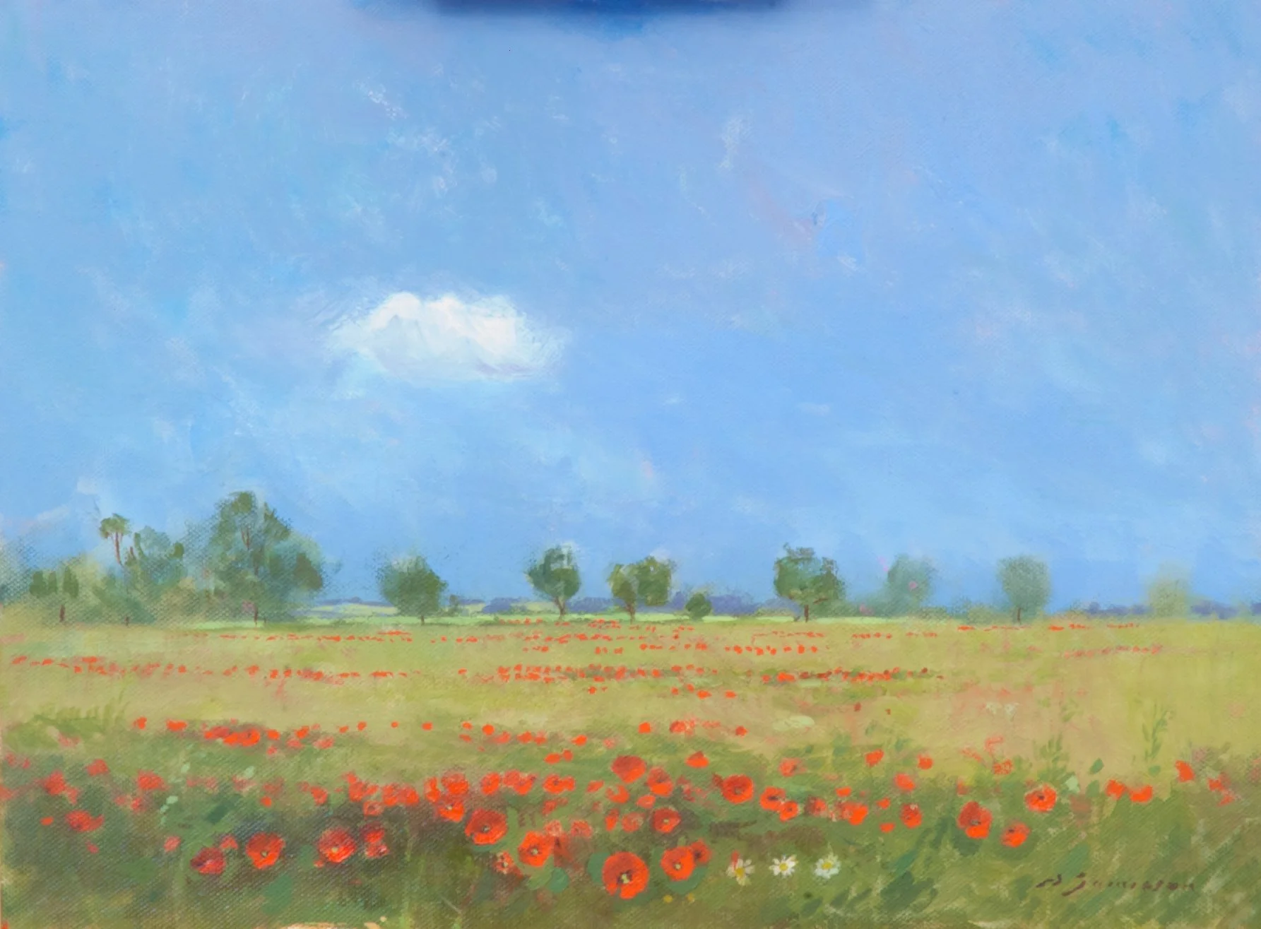 Poppies