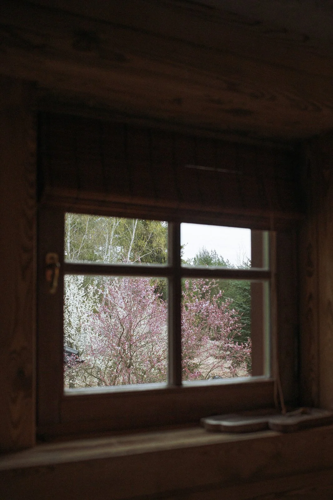 View through a small wooden-framed window showing blossoming trees with pink and white flowers outside.