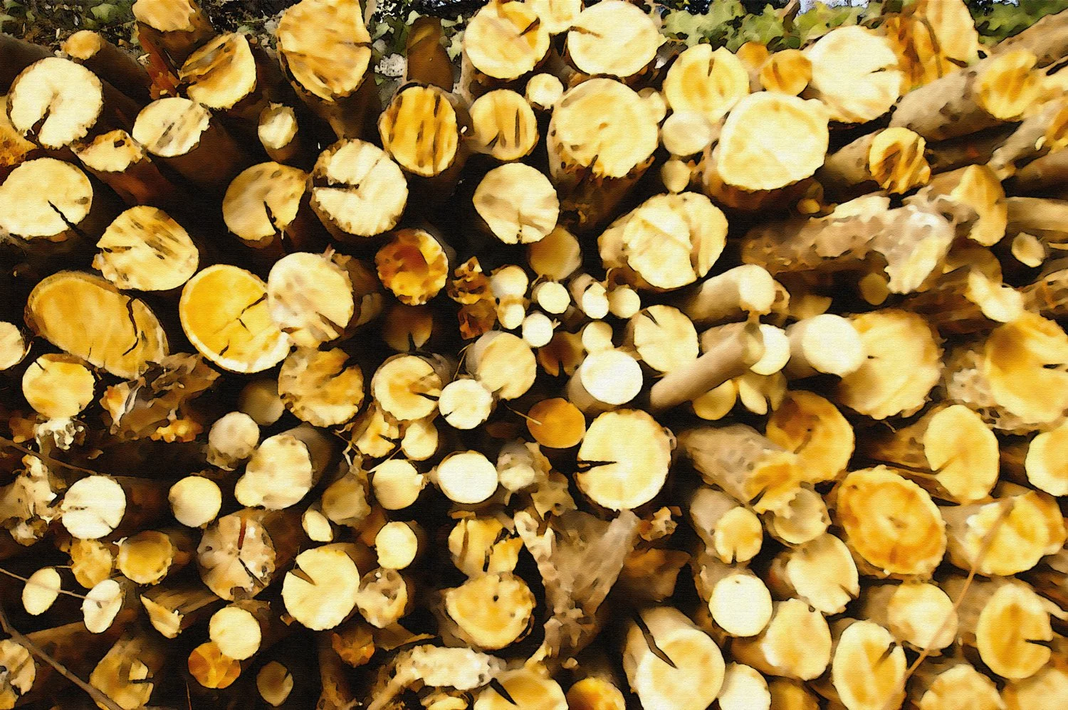 Number-23---Texture-1.jpg