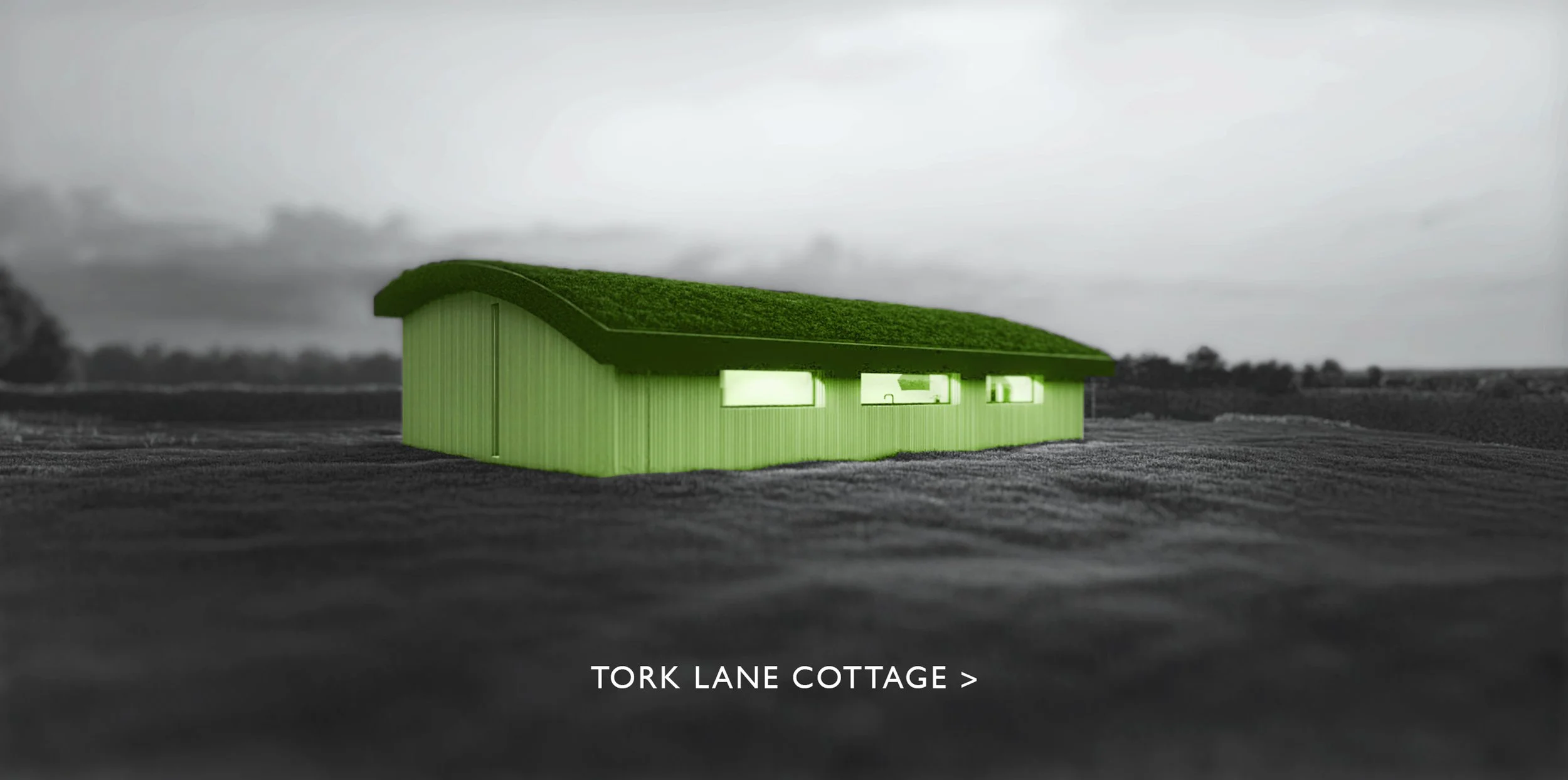 Harrall-Mono-Tork-Lane-cut.jpg