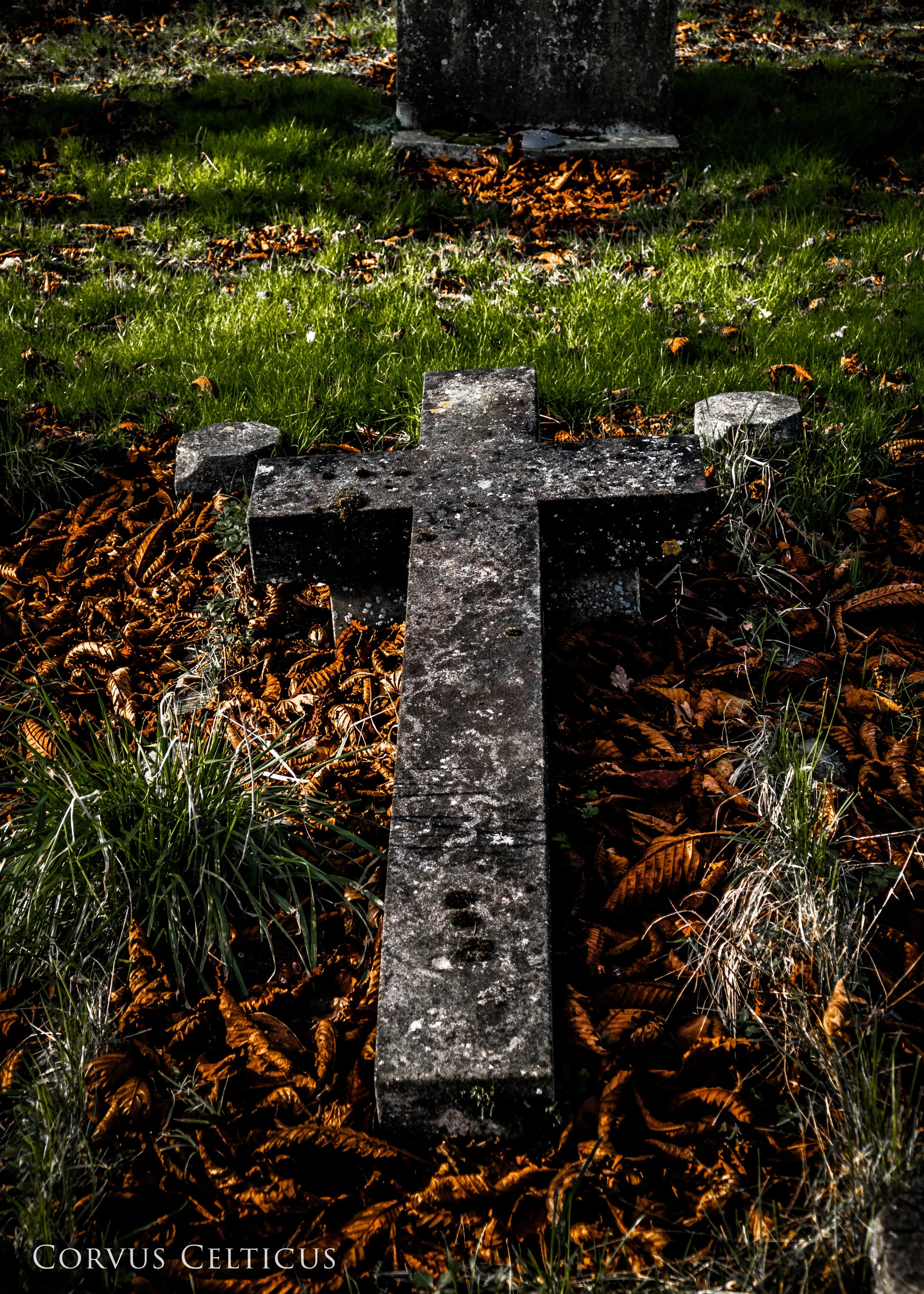 An old stone cross grave monument in a grassy area surrounded by fallen autumn leaves