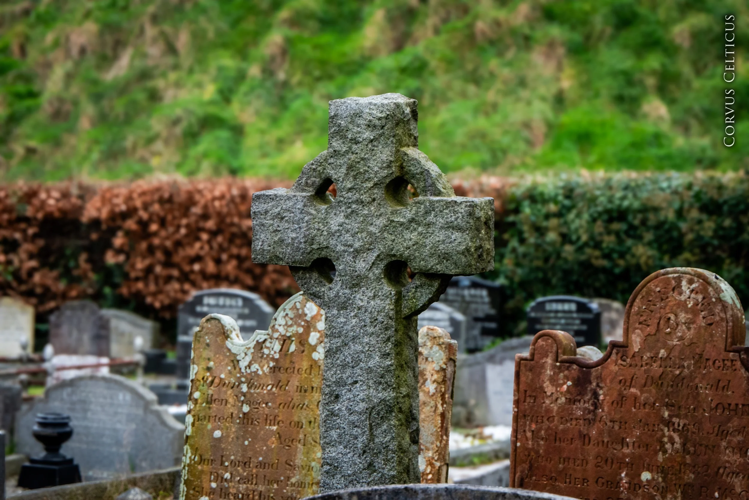 A close-up of an old stone Celtic cross tombstone in a the graveyard at Saint Elizabeth's Old Church in Dundonald