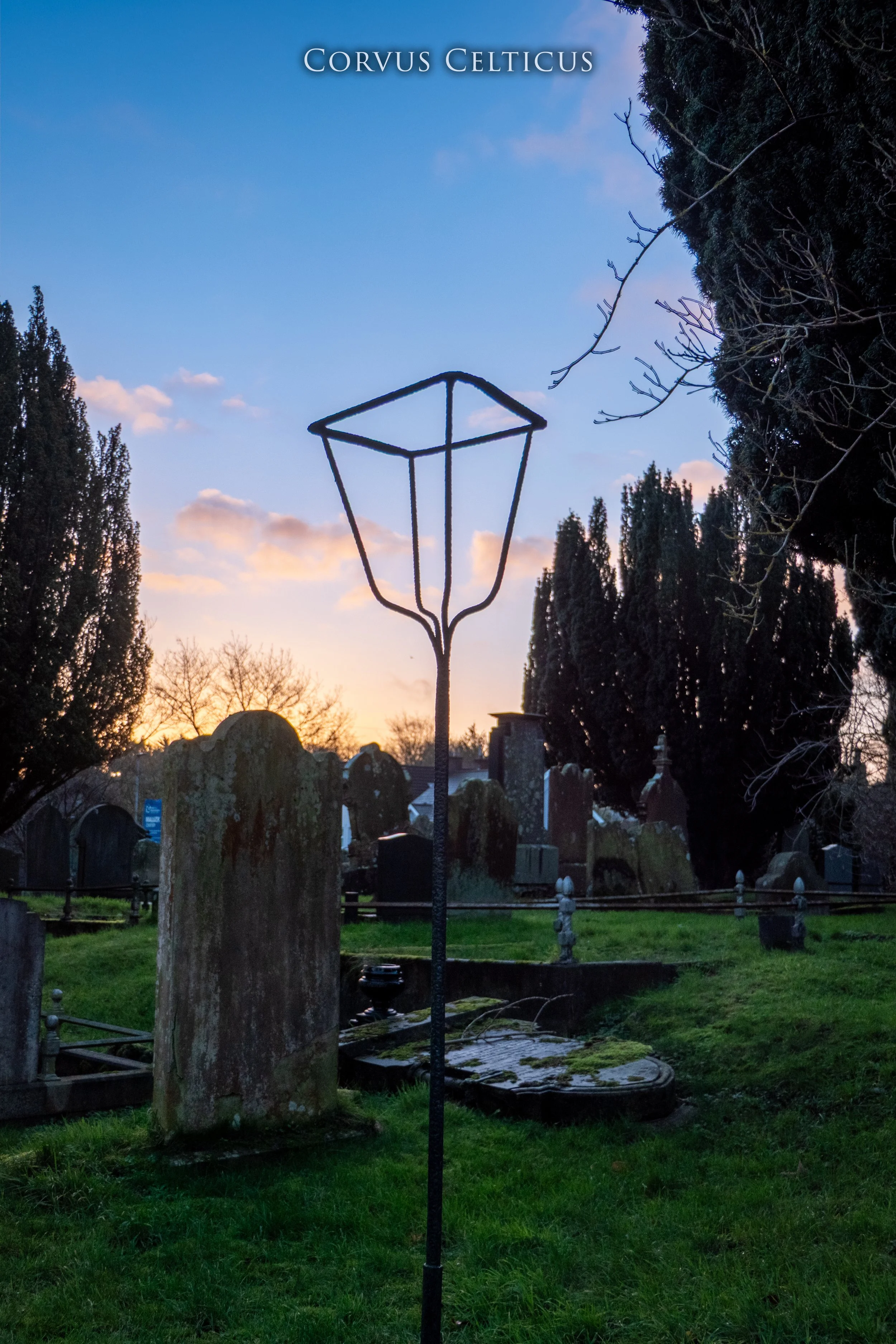 Mallusk Resurrection Lamp