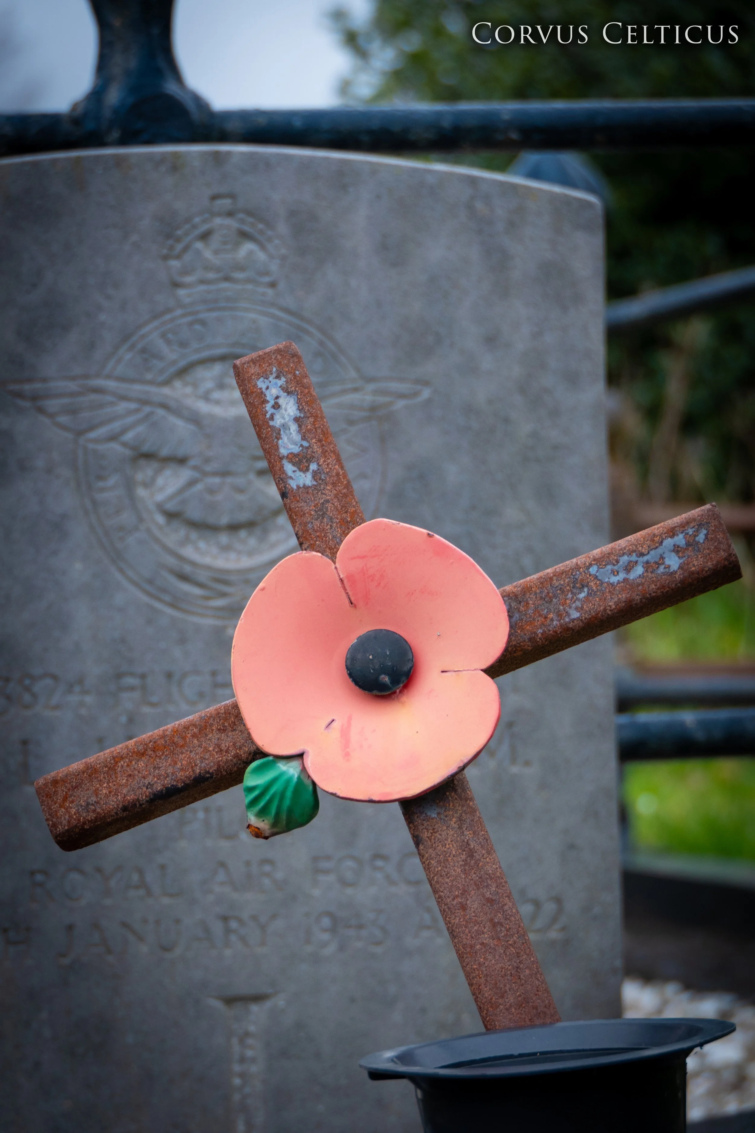 Metal Remembrance Poppy and Cross, Infront of a Commonwealth war grave, at Saint Elizabeth's Old Church in Dundonald