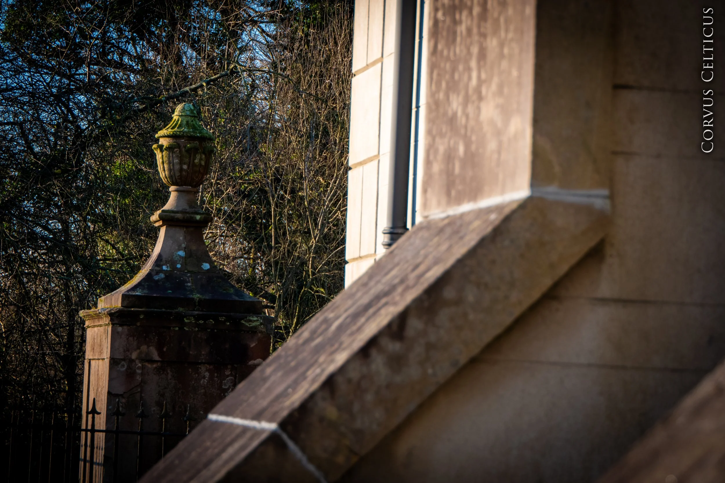 P1080105-HDR.jpg