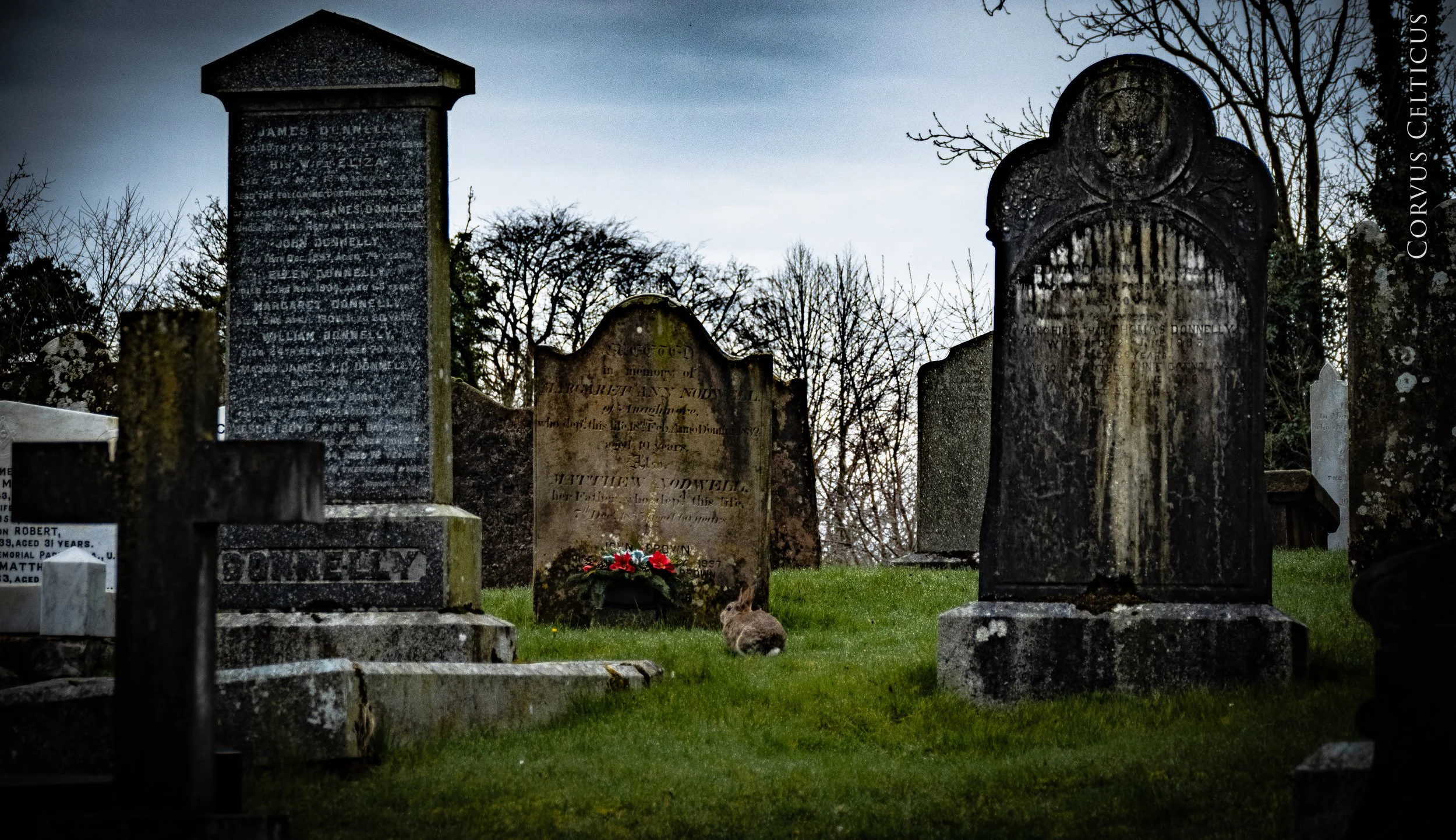 11P1064673-HDR.jpg