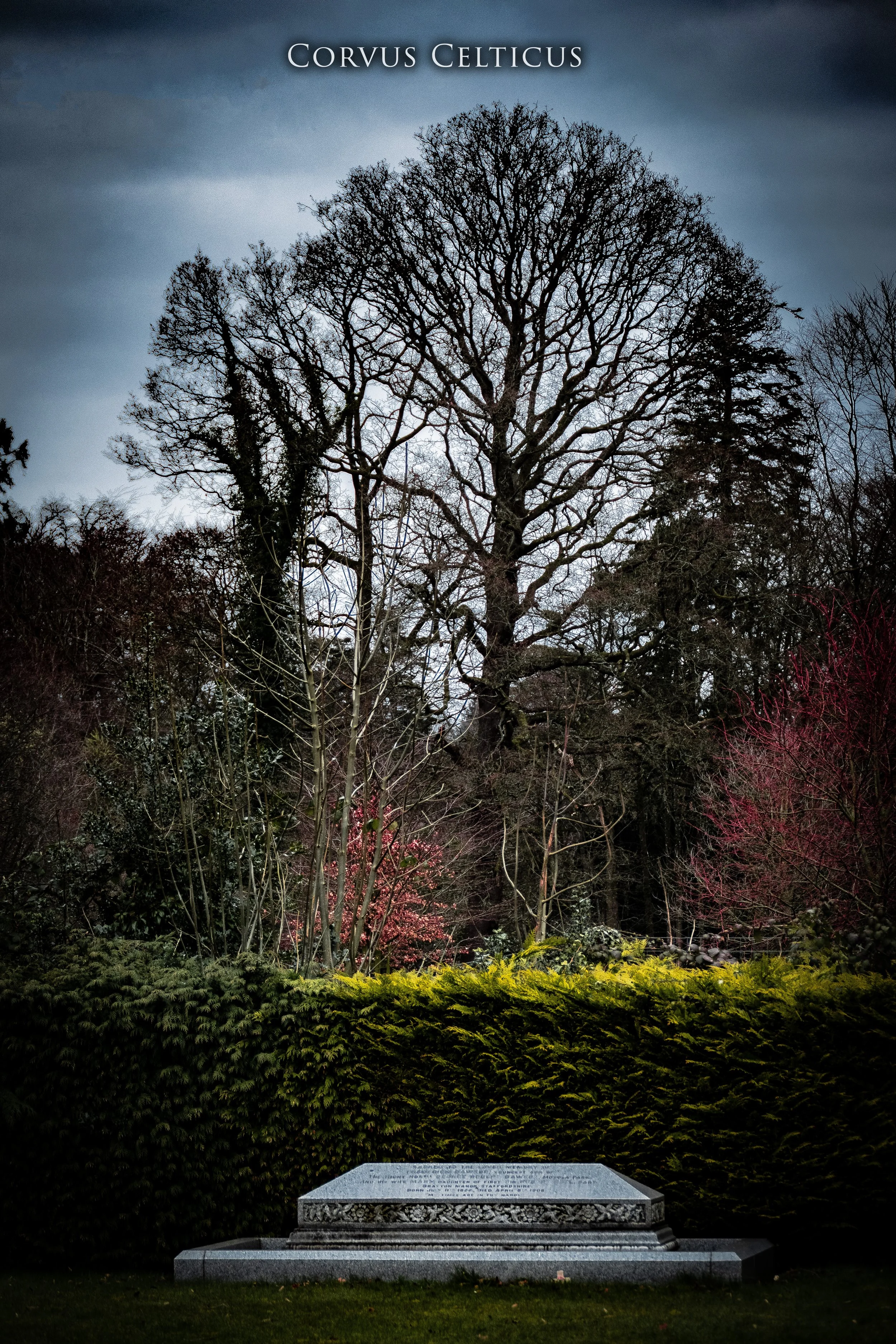 1P1064834-HDR.jpg