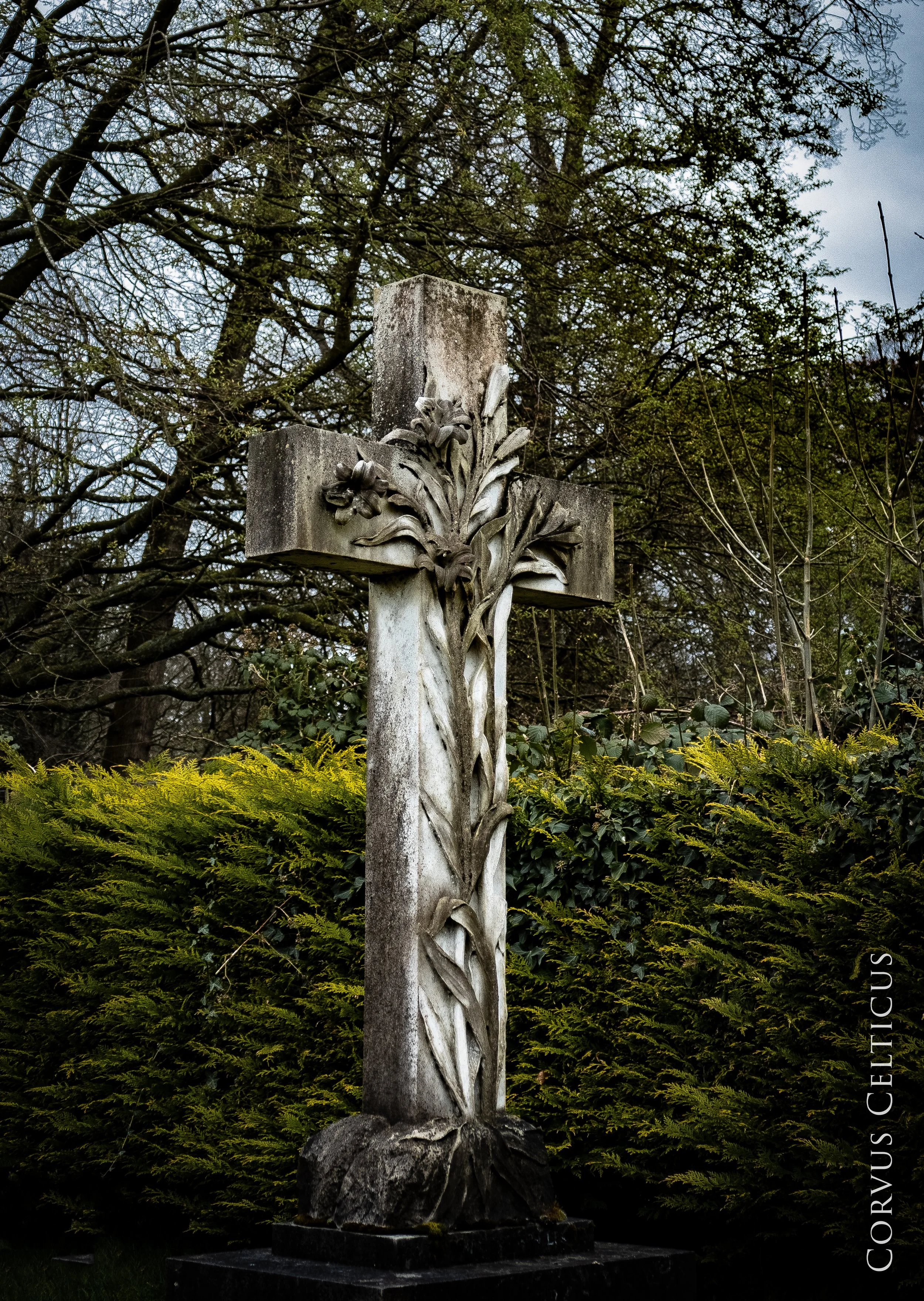 1P1064911-HDR.jpg
