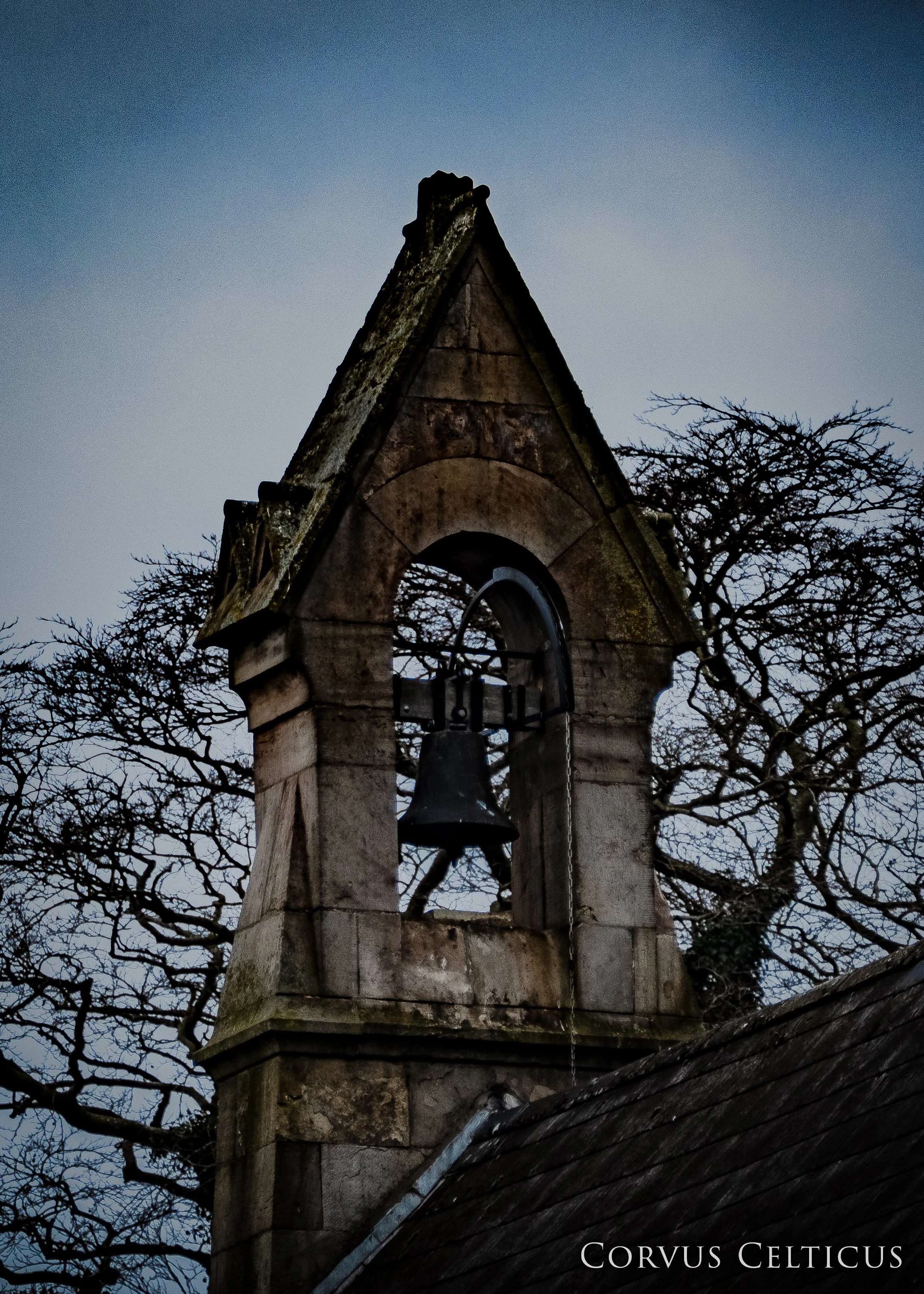 1P1065037-HDR.jpg