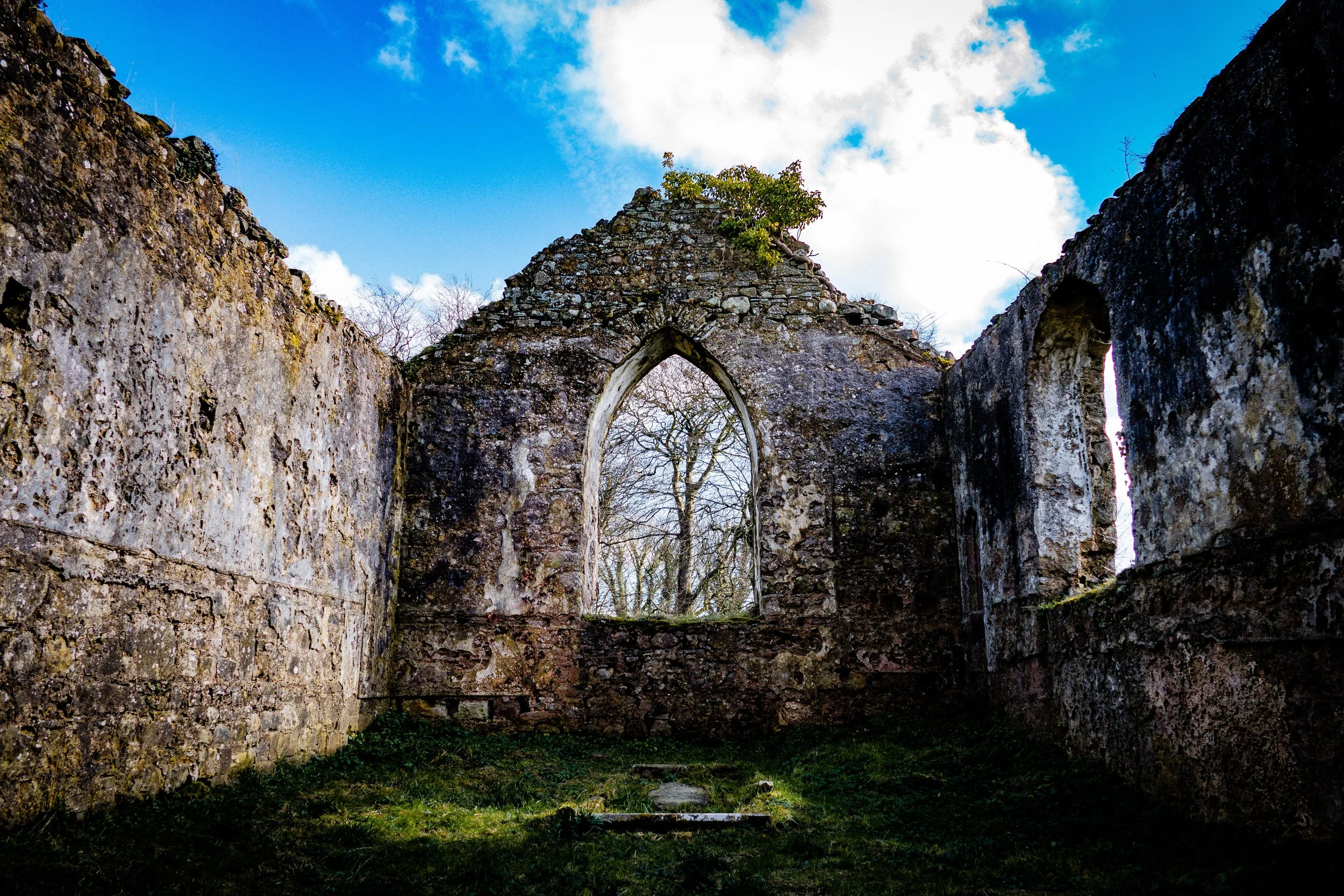 Nature reclaimed: The ruins of Kilcronaghan old Church, under a sunny sky.