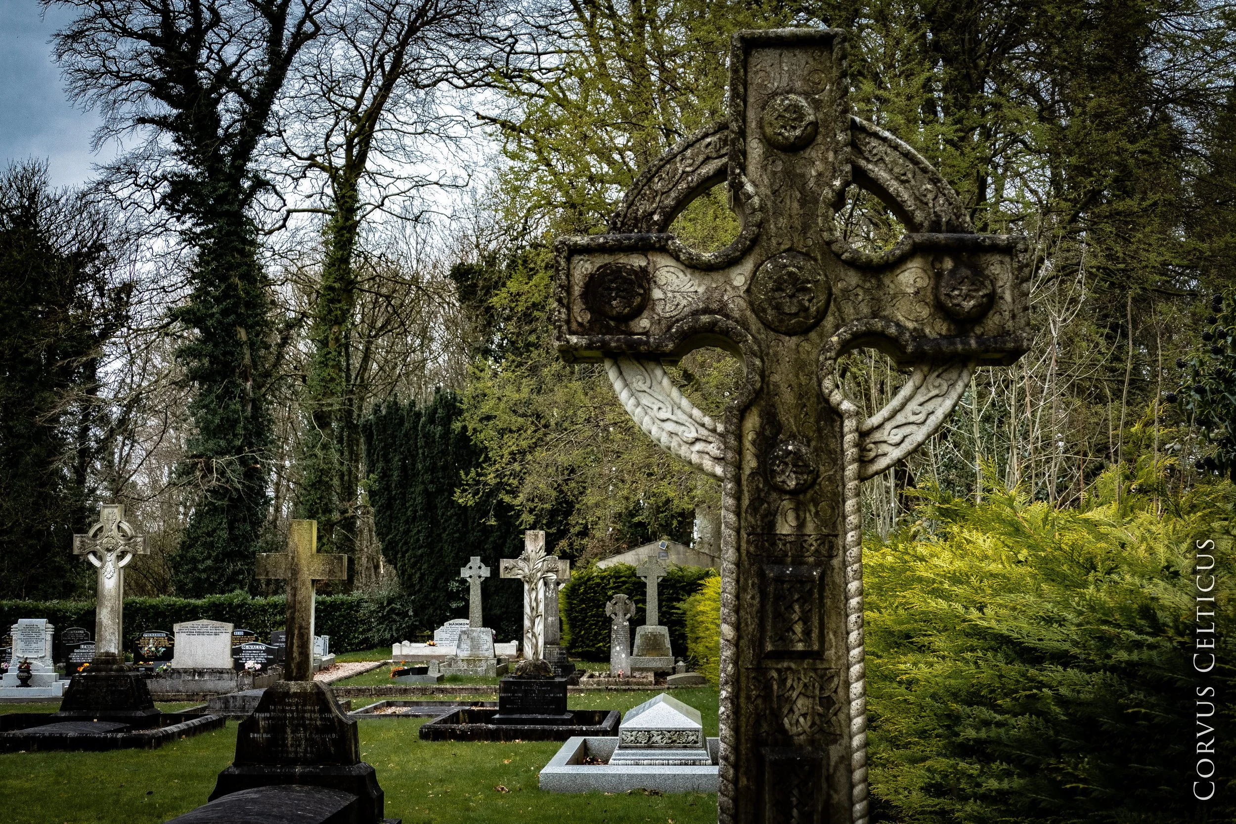 1P1064946-HDR.jpg