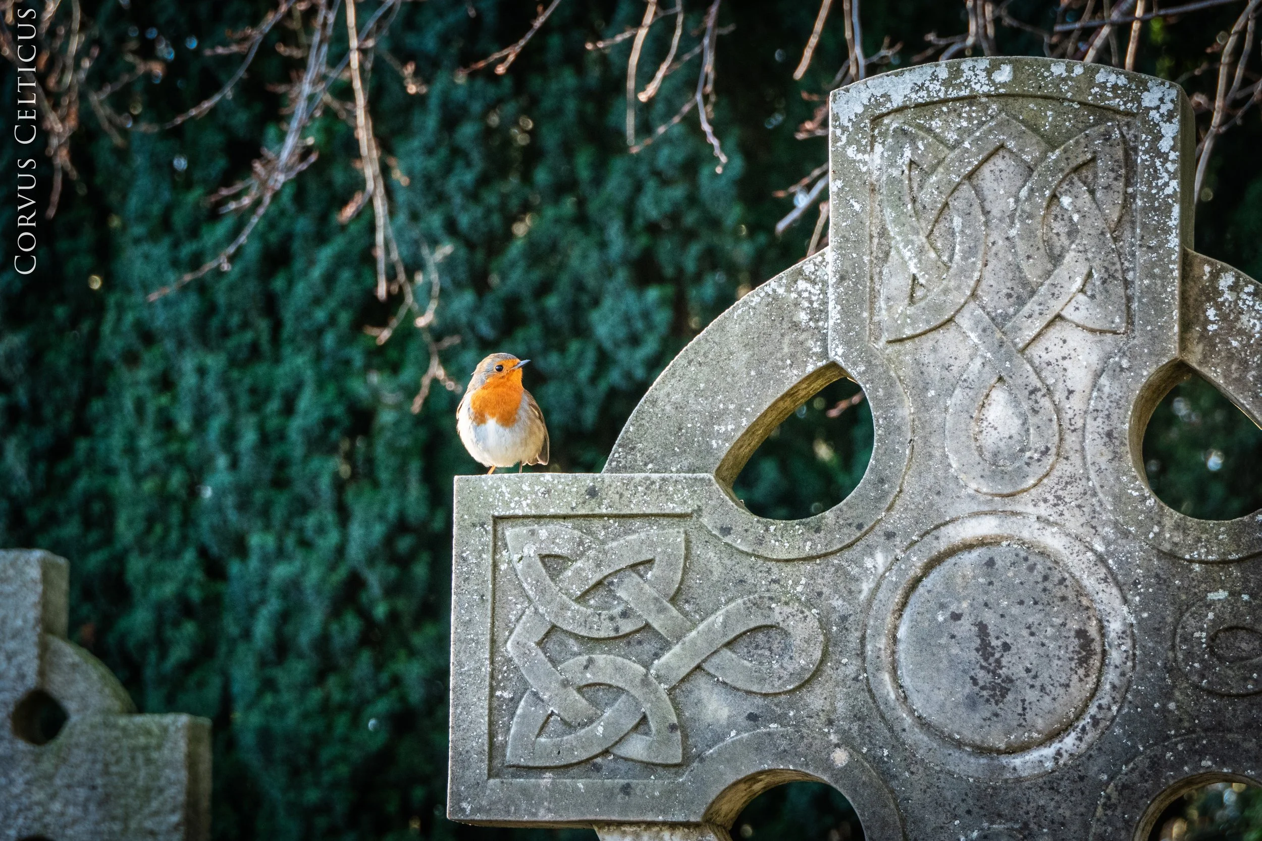P1080184-Edit 2.jpg