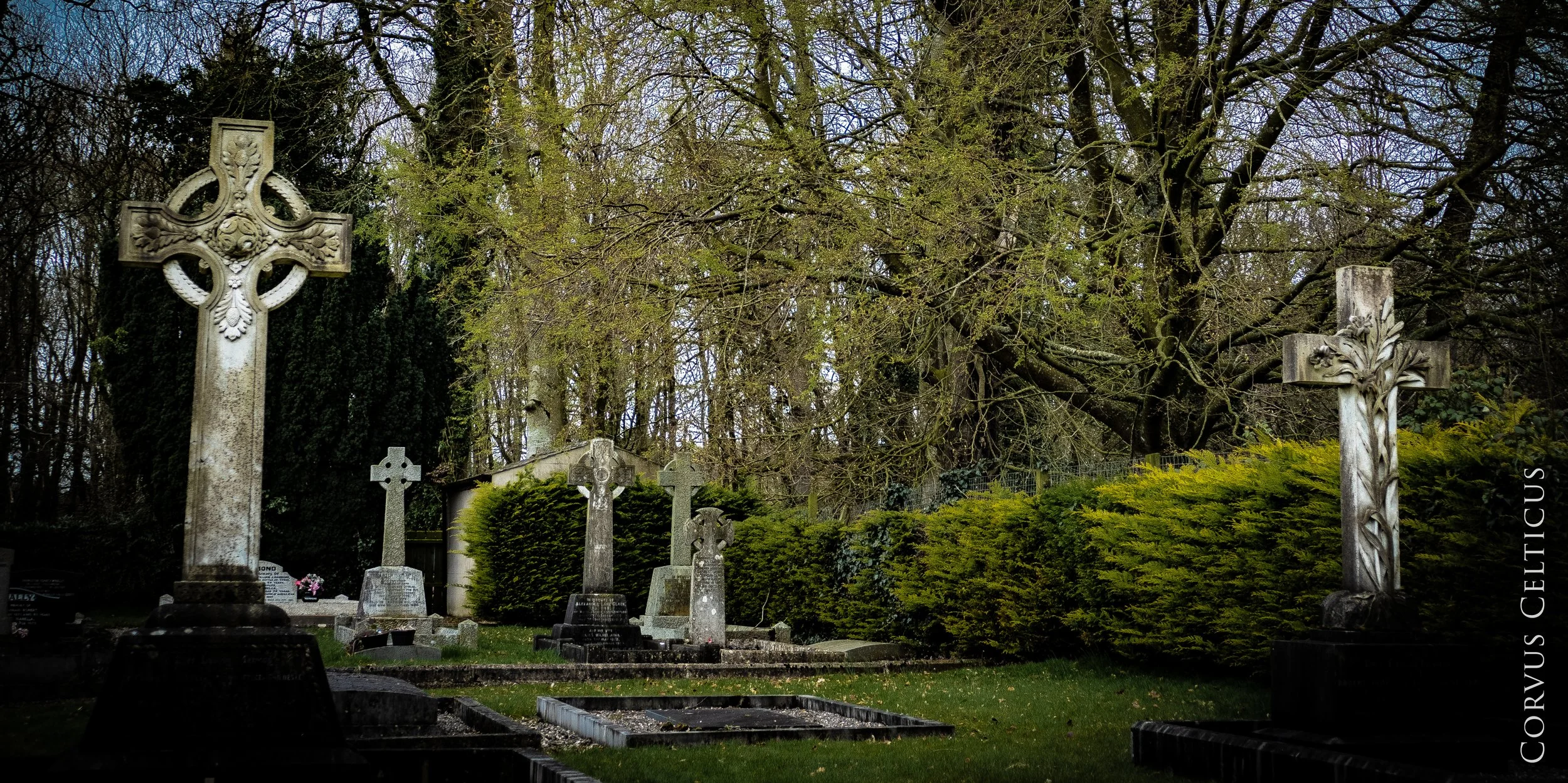 1P1064876-HDR.jpg