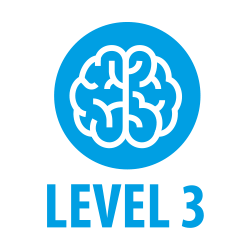 Logo of a brain inside a blue circle with the text 'LEVEL 3' below.