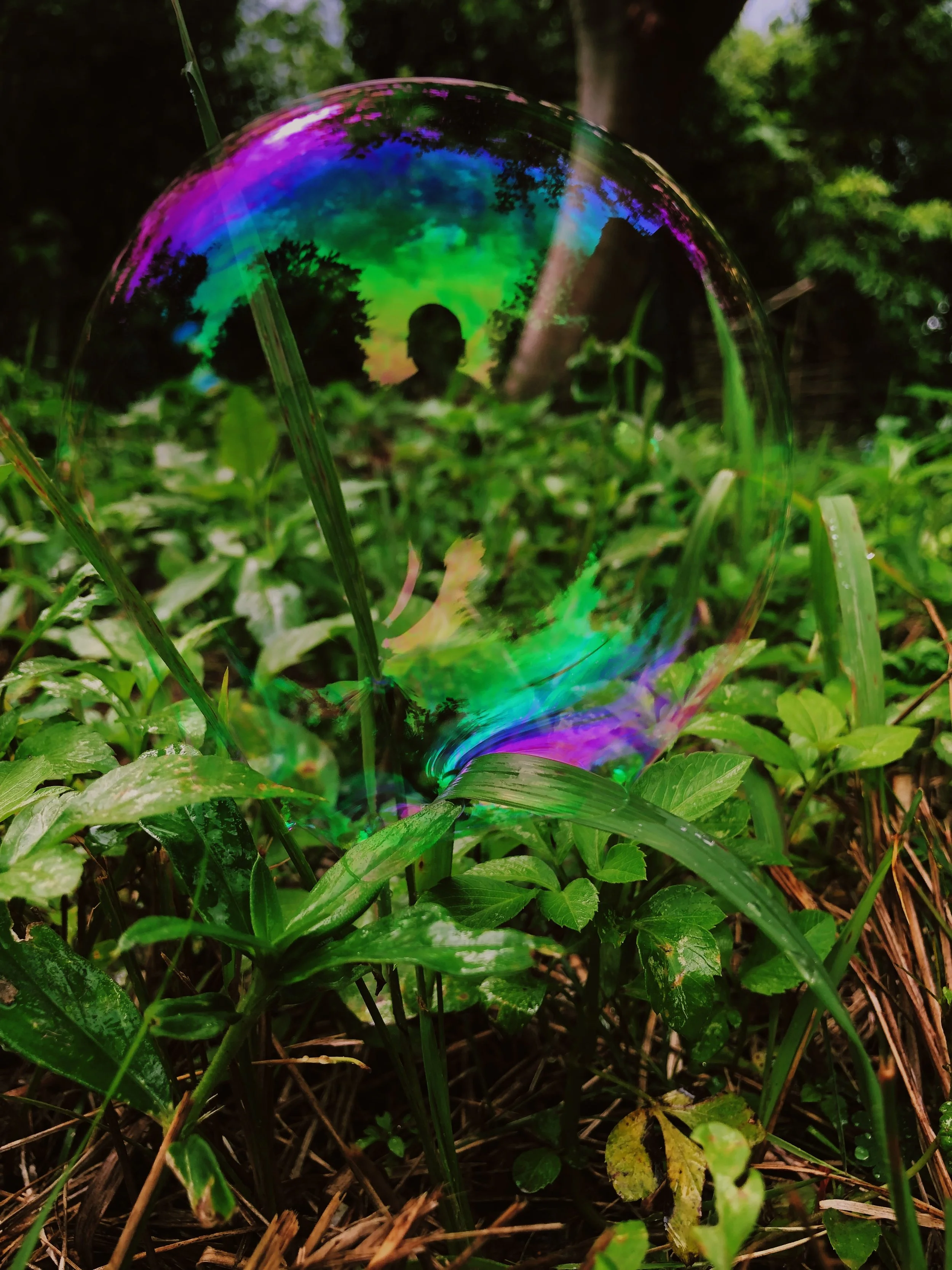 EF940A06-031E-41EC-8146-7148F6A7A2C7.JPG