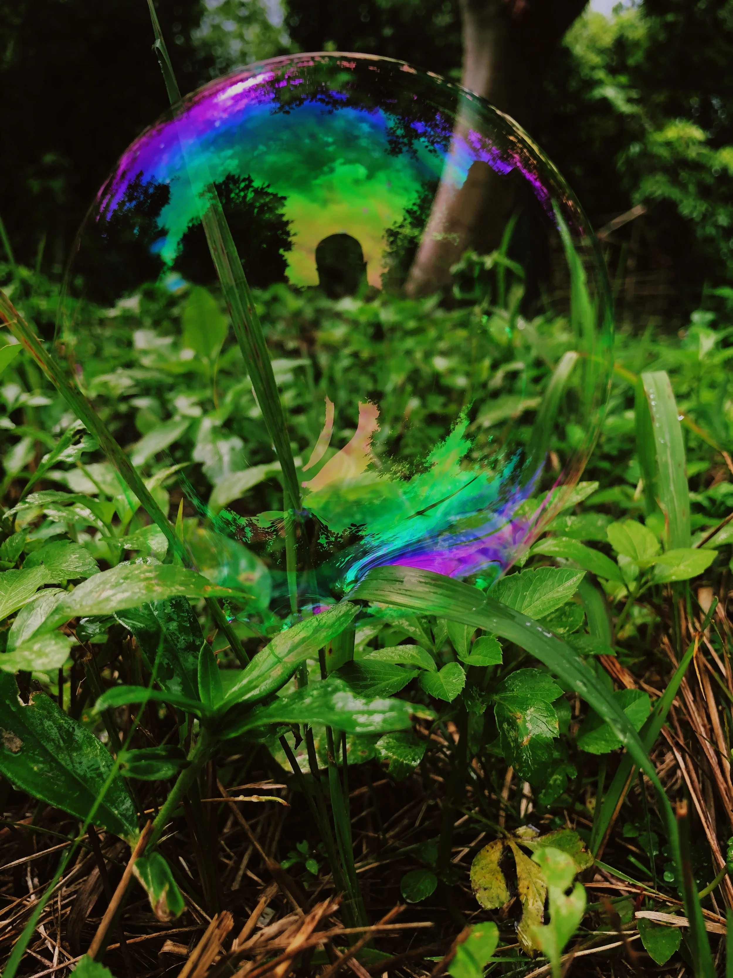 539C4AEA-CF55-45CF-82D6-1248F26E9375.JPG