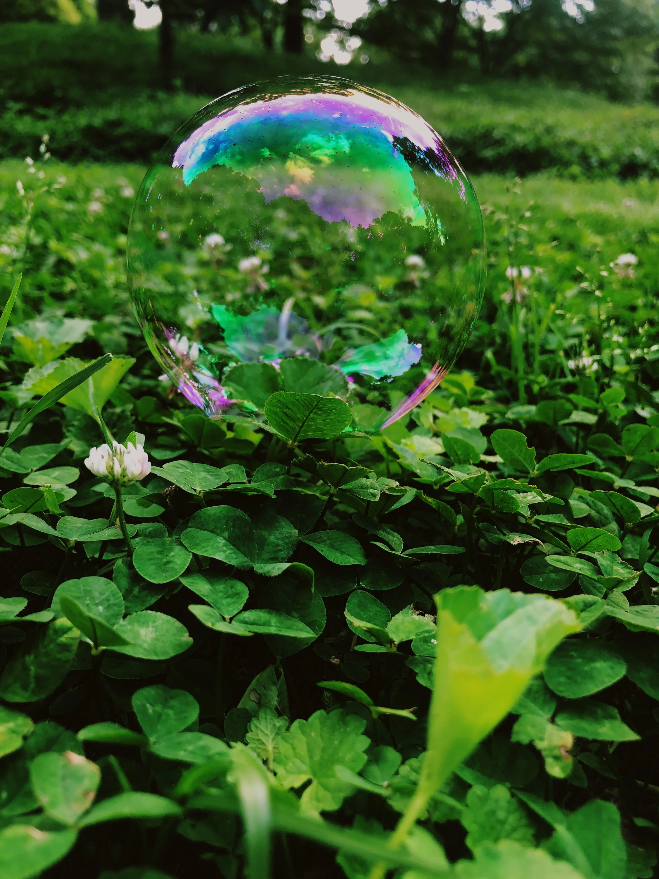 43AA4E46-946A-4819-A54F-298176B730A4.JPG